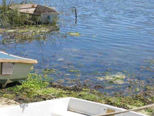 failing septic systems