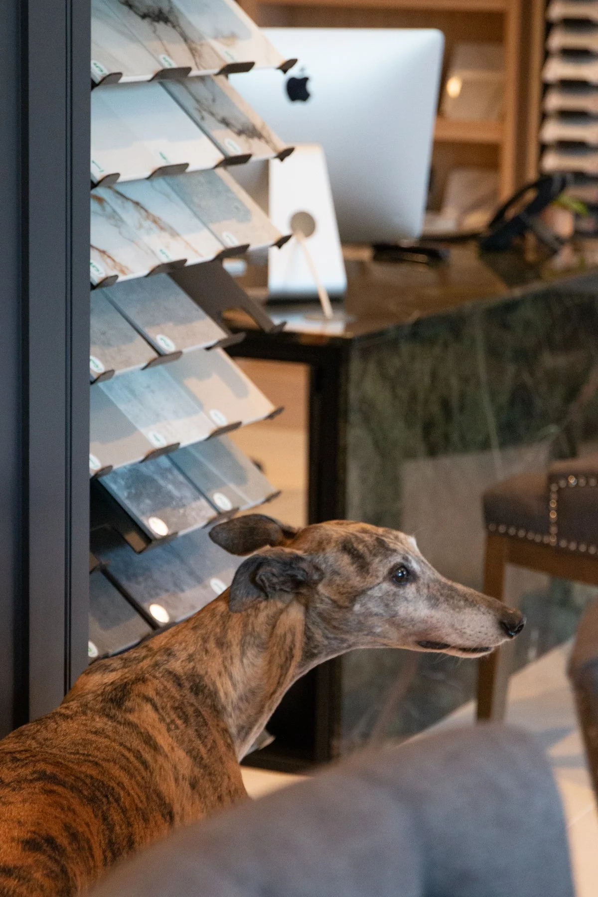 Granite, Quartz &amp; Stone Worktops in Lyndhurst – Premium Surfaces Across the New Forest