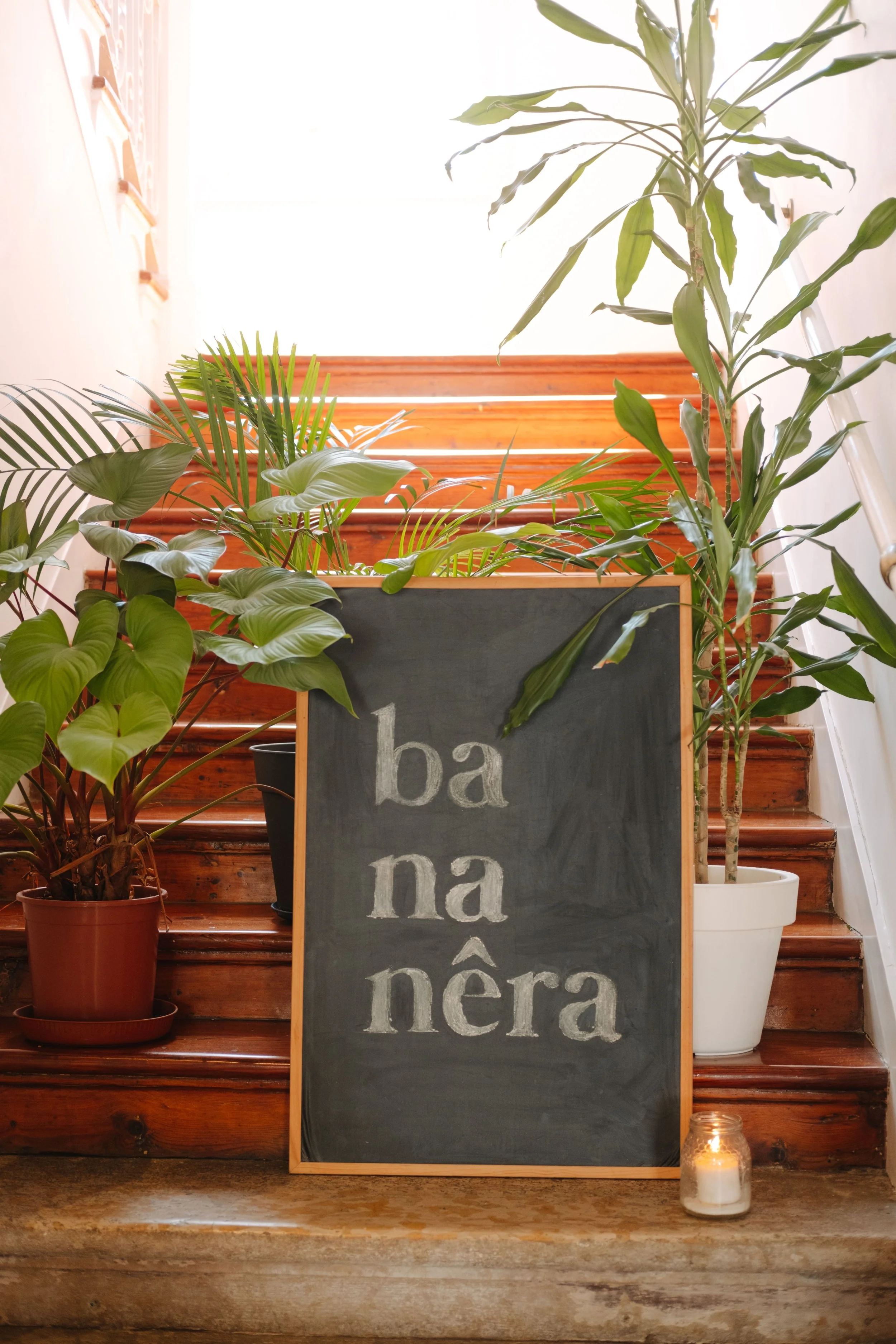 DSCF1244-1.jpg