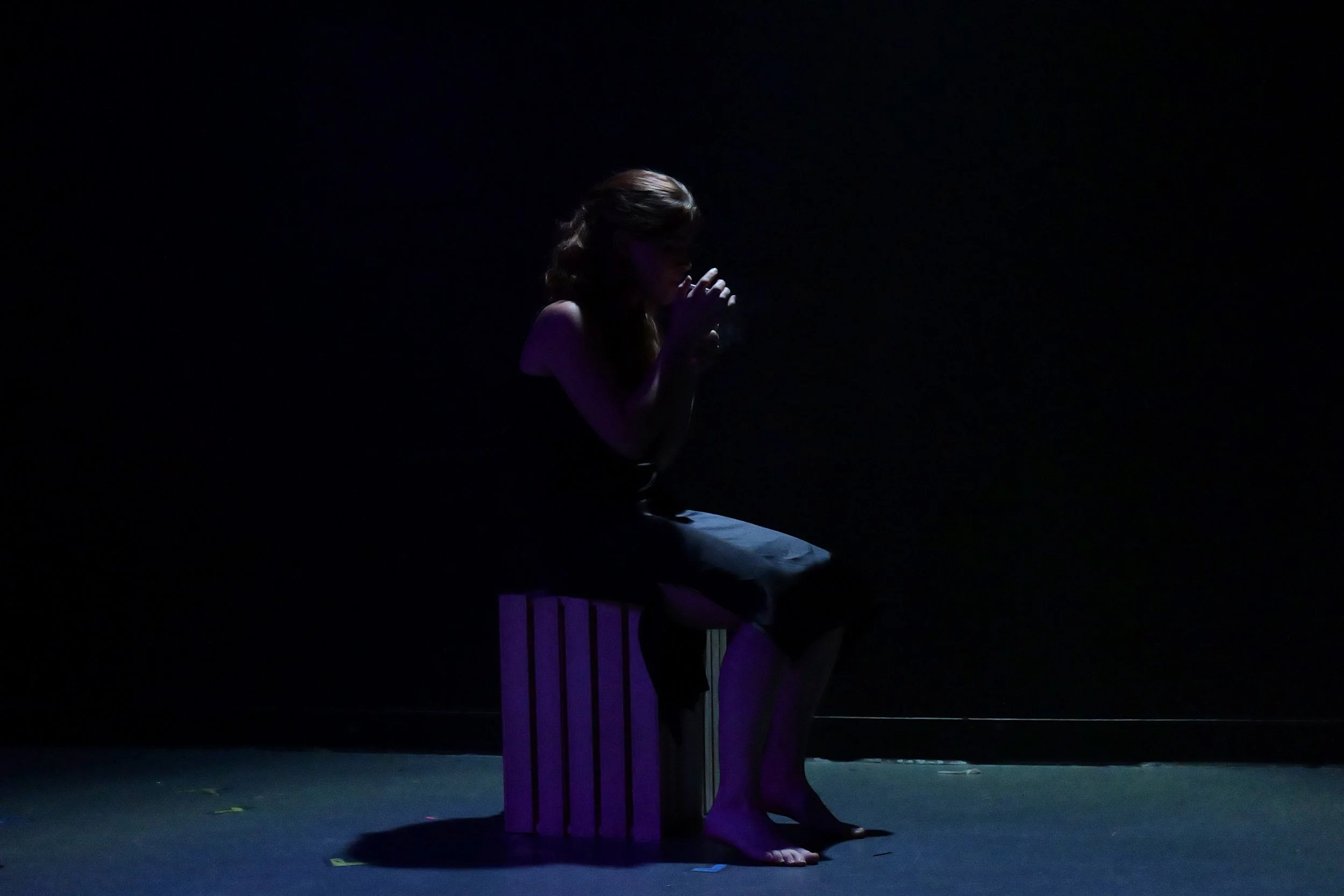 The Seagull (Crooked Theater Company)