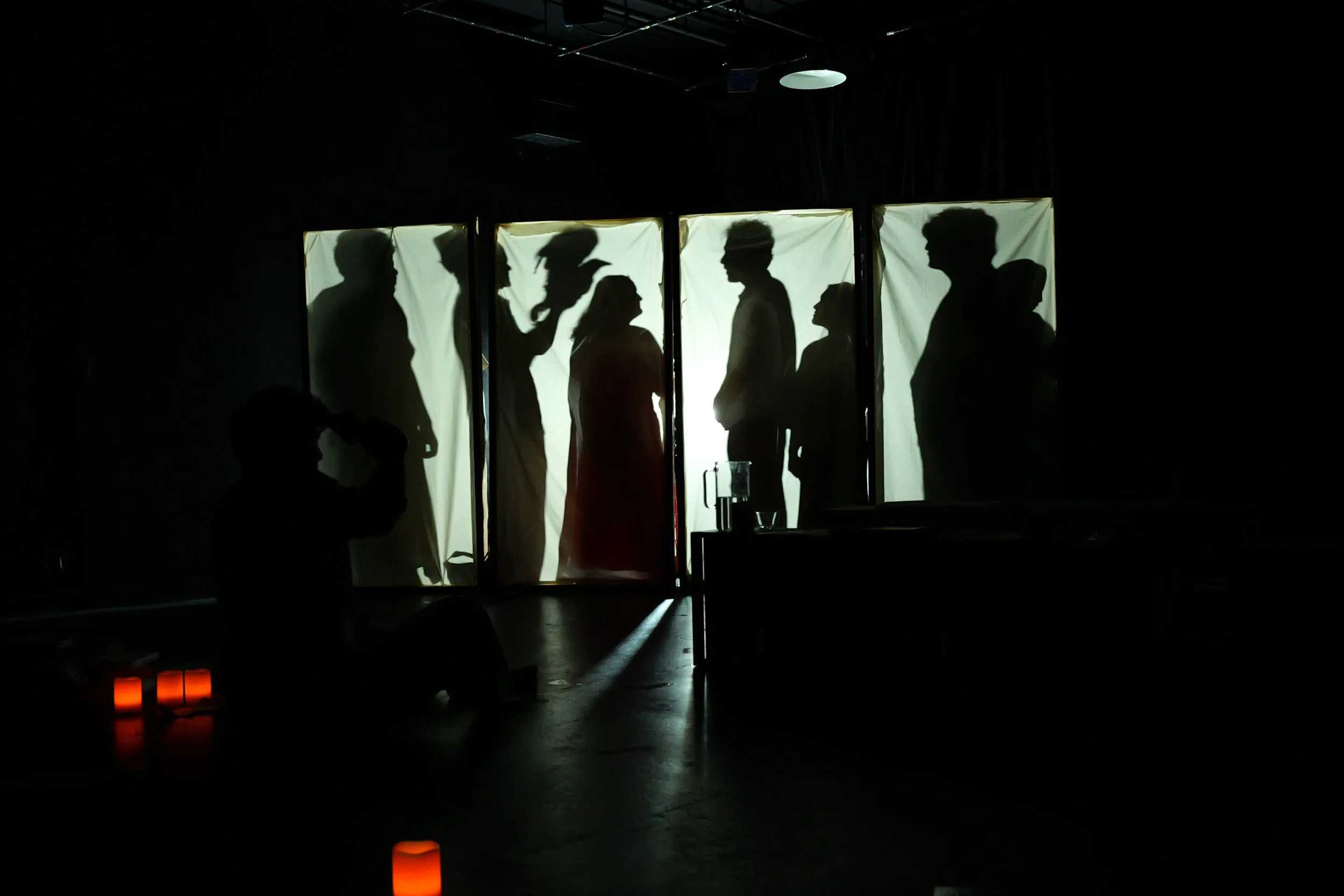 The Seagull (Crooked Theater Company)