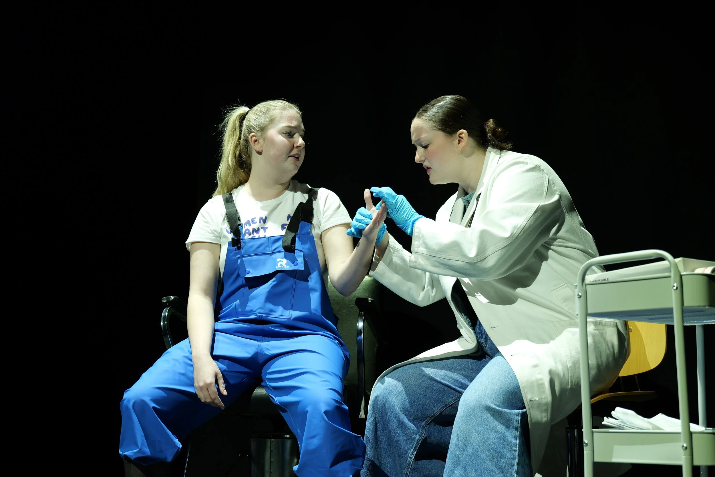 Anatomy of a Suicide (Fine Line Theatre Company)