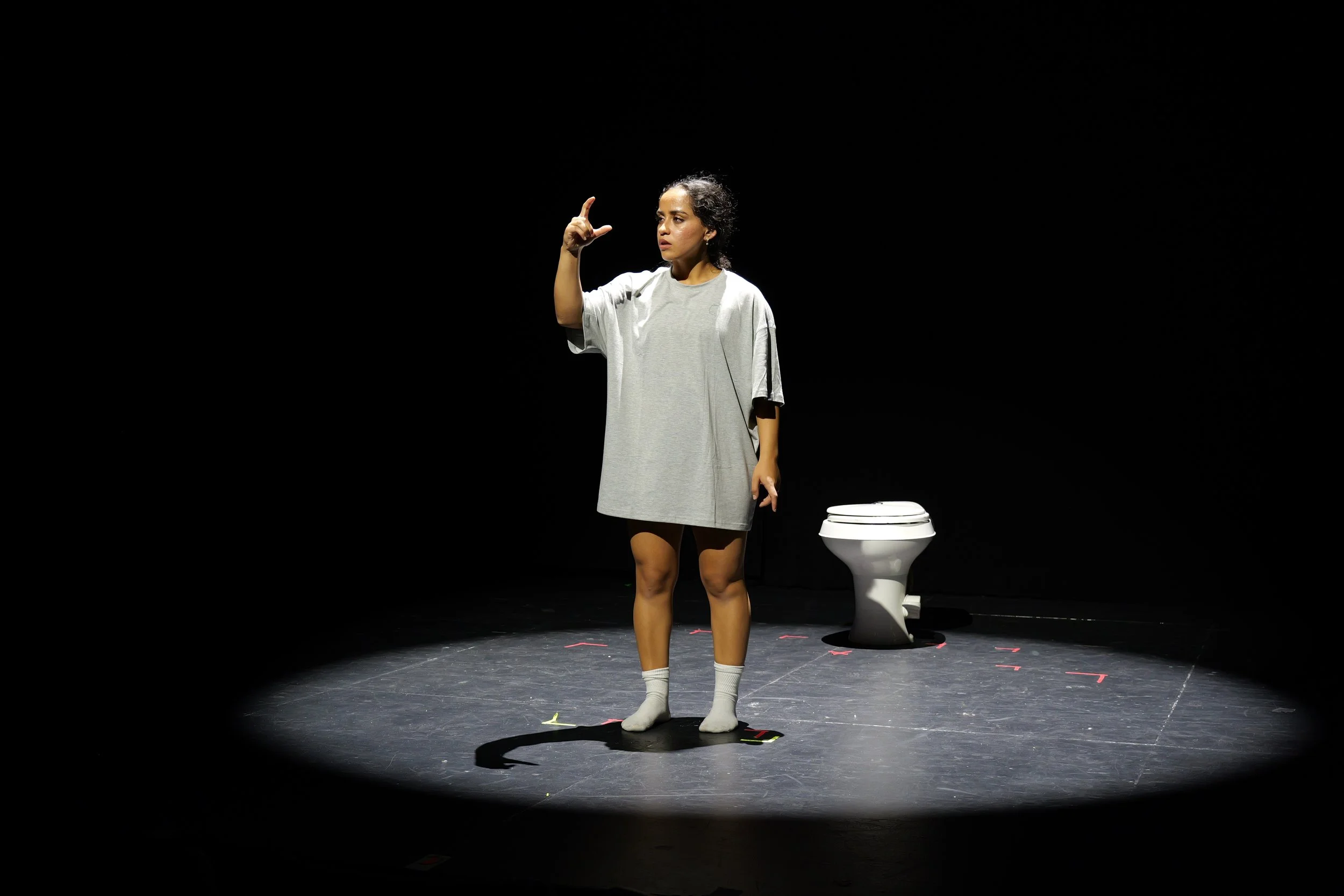 Anatomy of a Suicide (Fine Line Theatre Company)