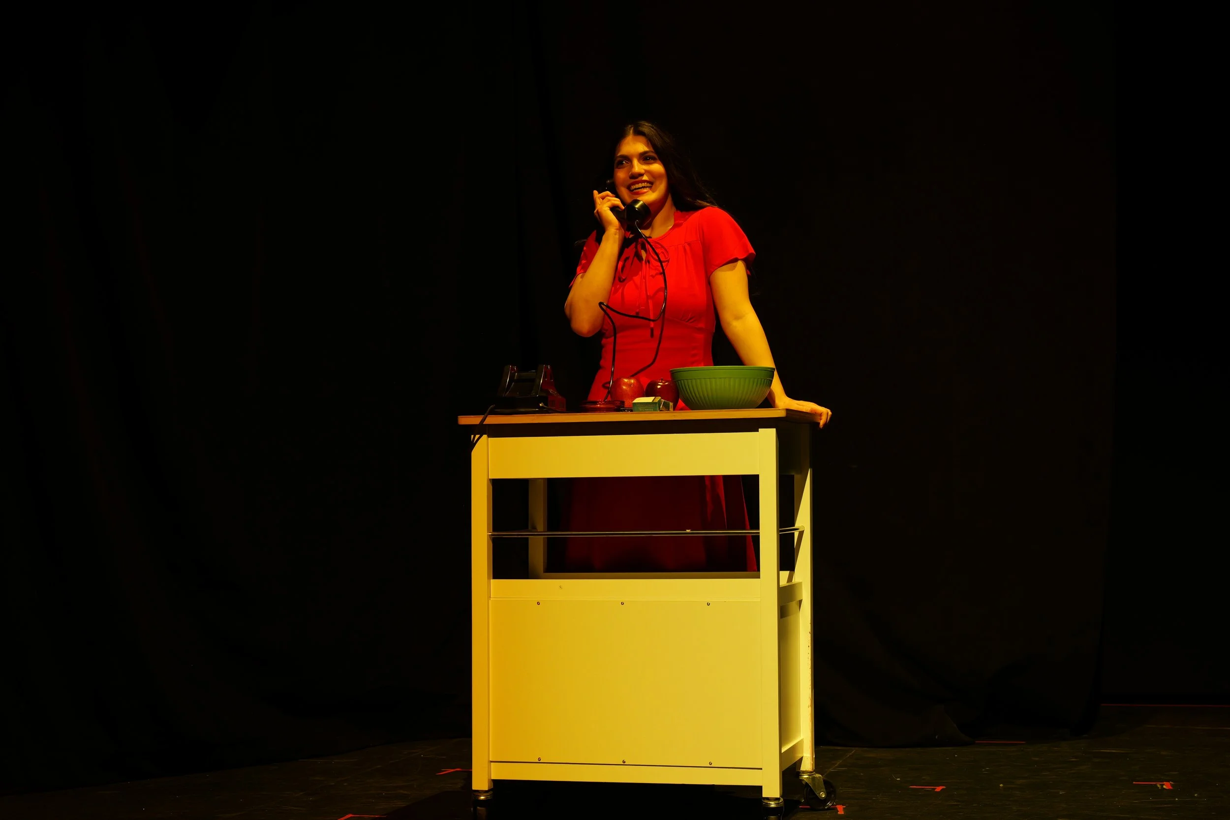 Anatomy of a Suicide (Fine Line Theatre Company)