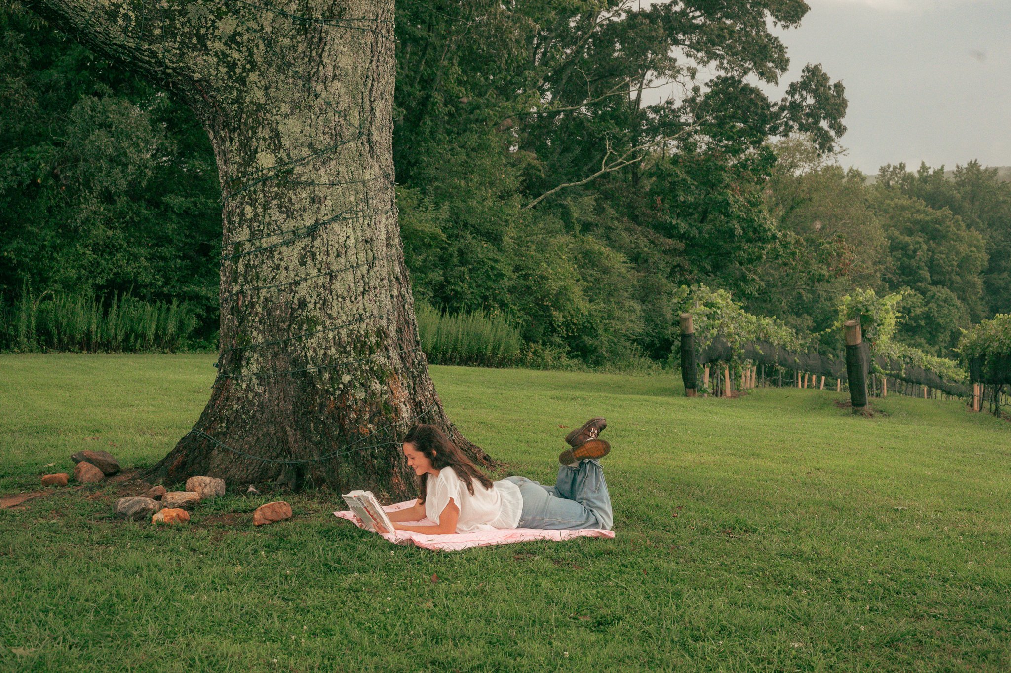 A woman is lying on her stomach on a pink blanket in a park, reading a book. She is under a large tree with green foliage, and there are rocks around its base. The park has a grassy area and a fence in the background.