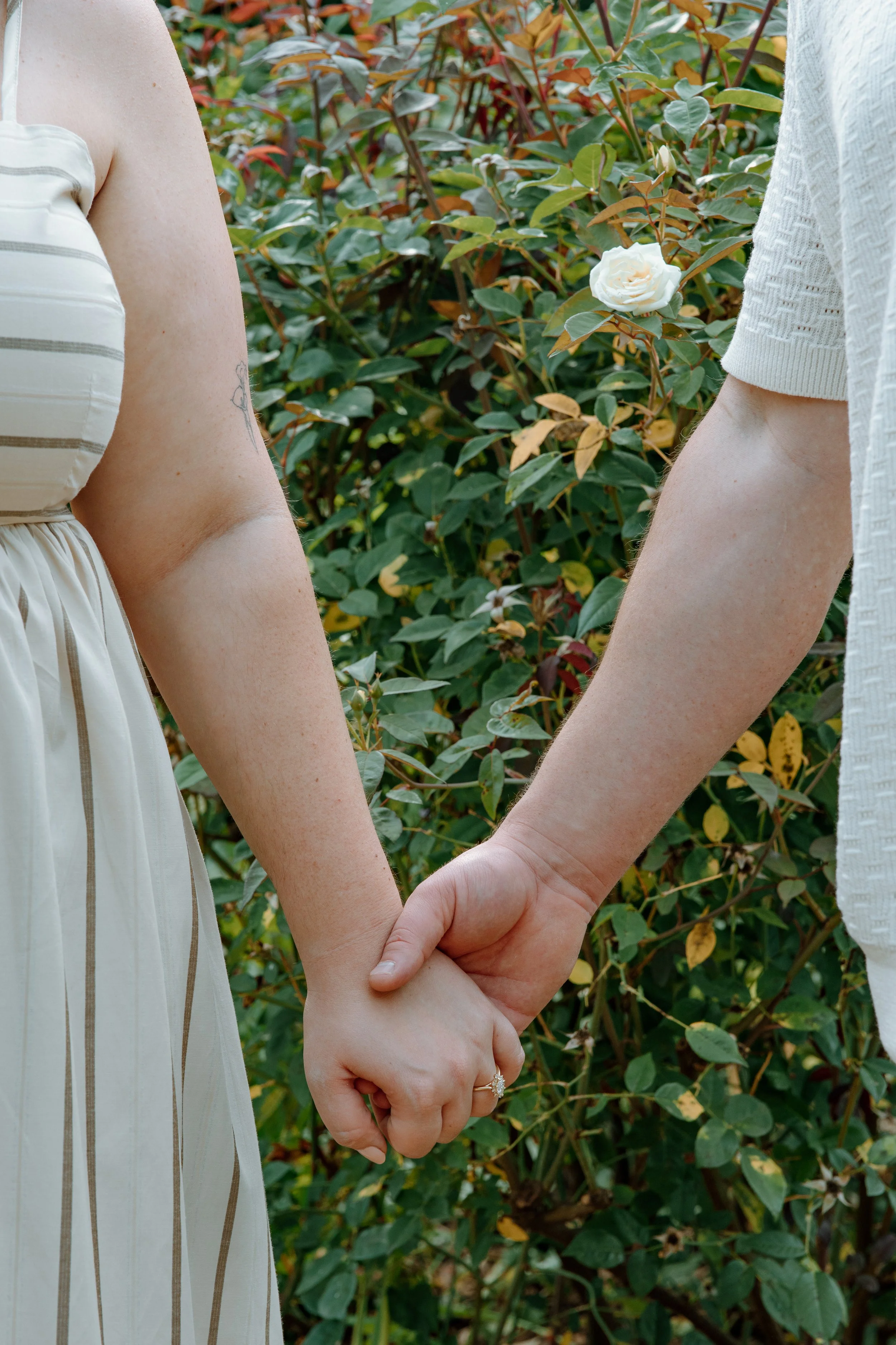 A+C.engagement.eacc-20.jpg