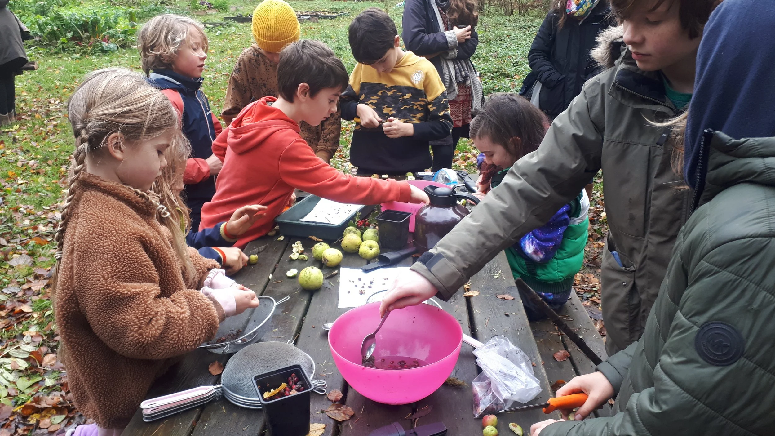 Children gather outdoors around a wooden table with autumn leaves, preparing and collecting apples and berries
