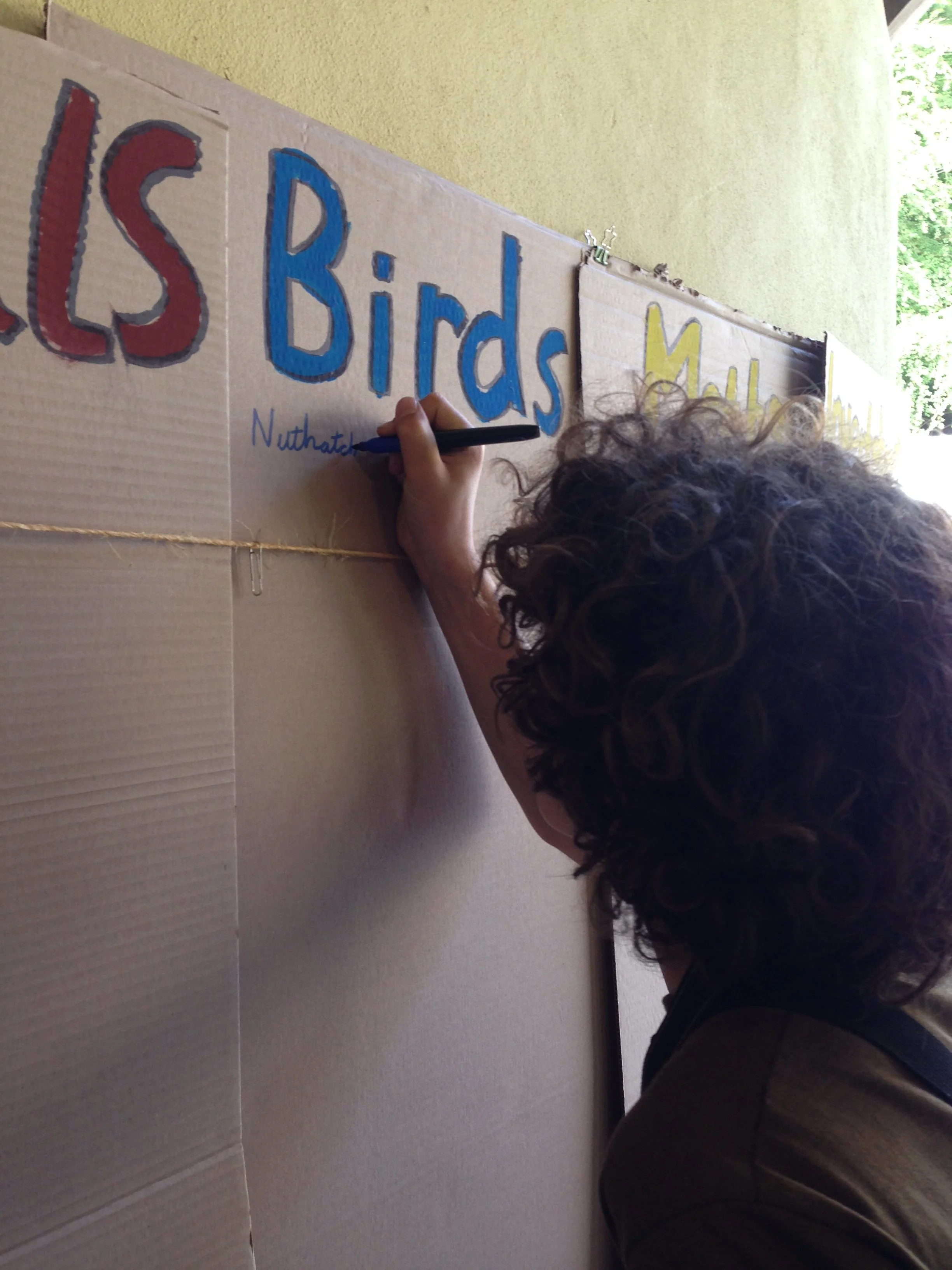 Person with curly hair writing on a large cardboard poster with colorful hand-drawn letters.