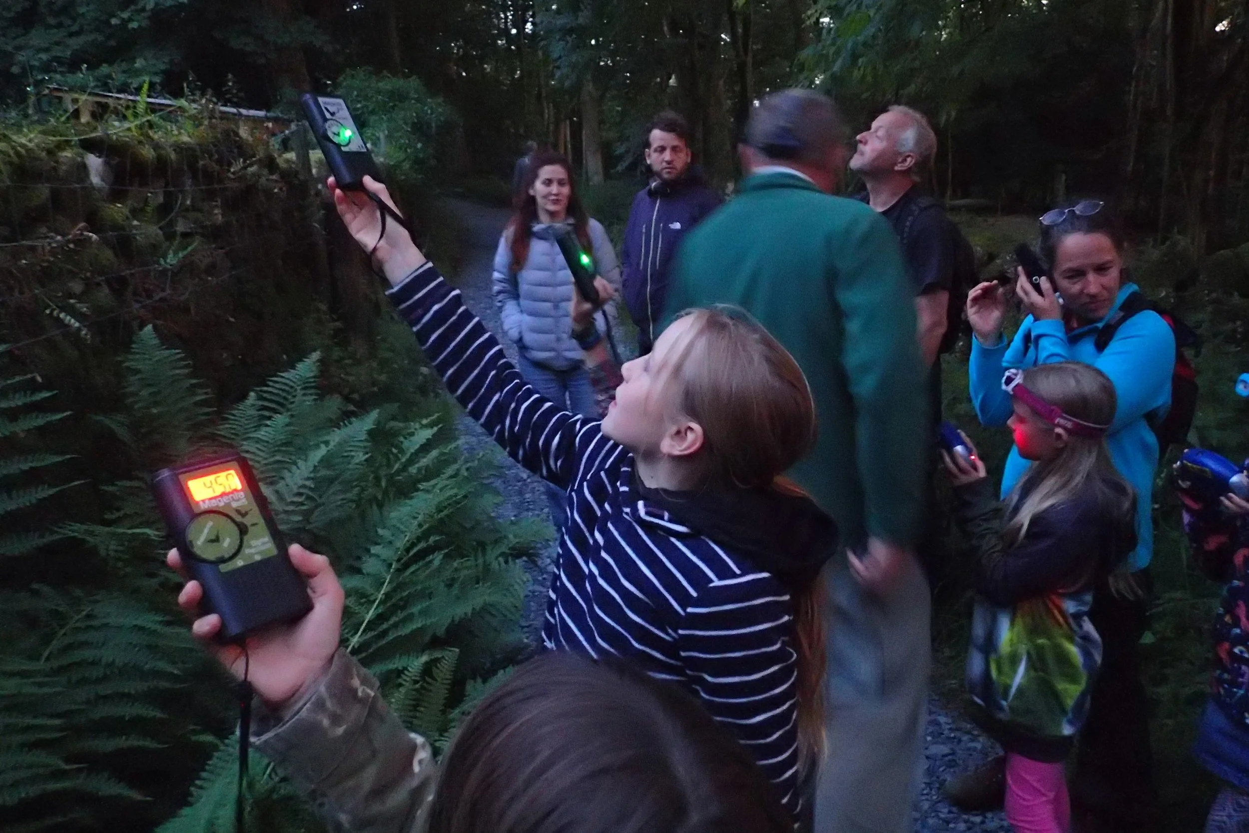 Group of people using bat detectors in a wooded area during dusk.