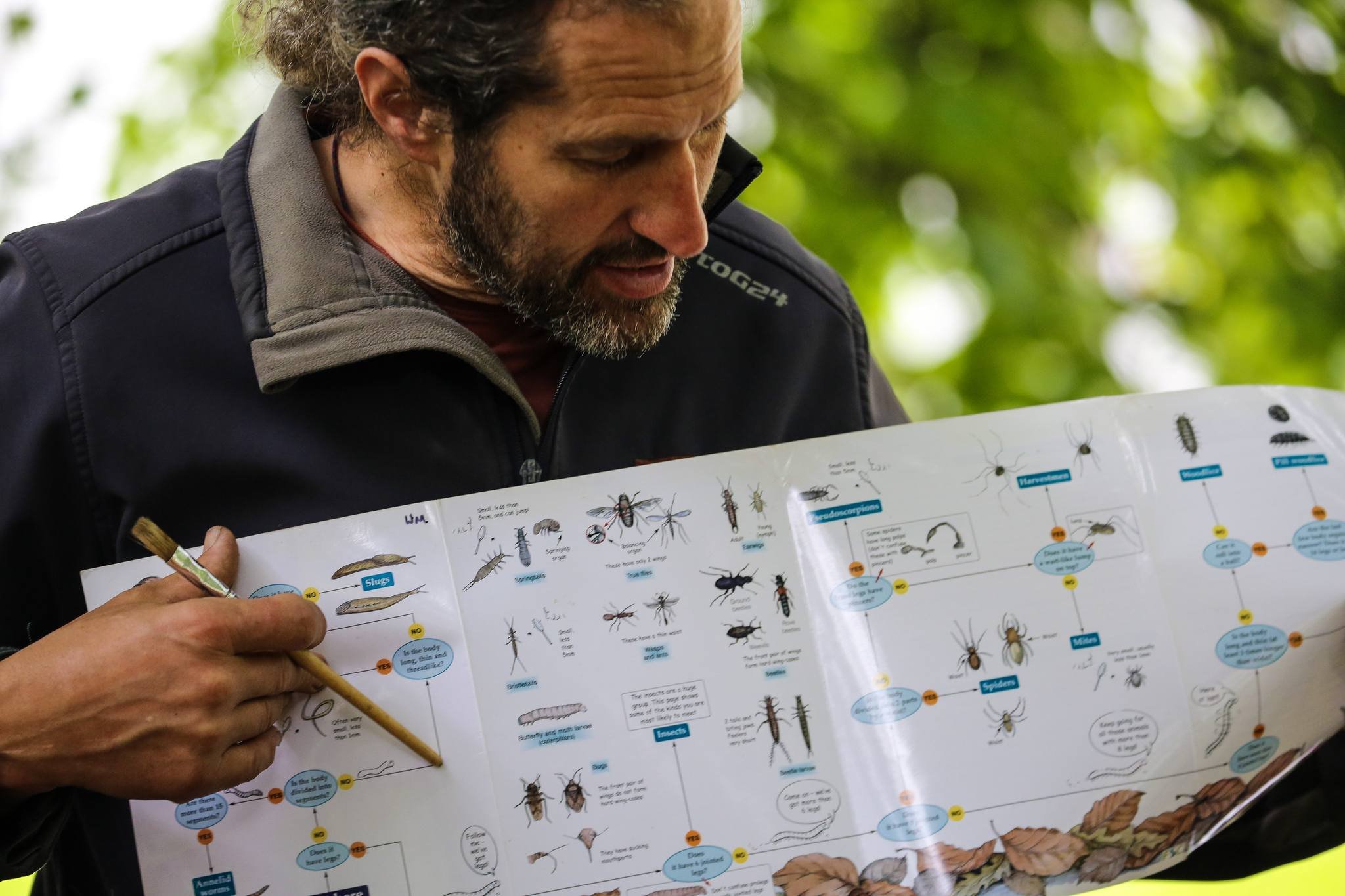 FREE Schools Wildlife Survey Lending Kit