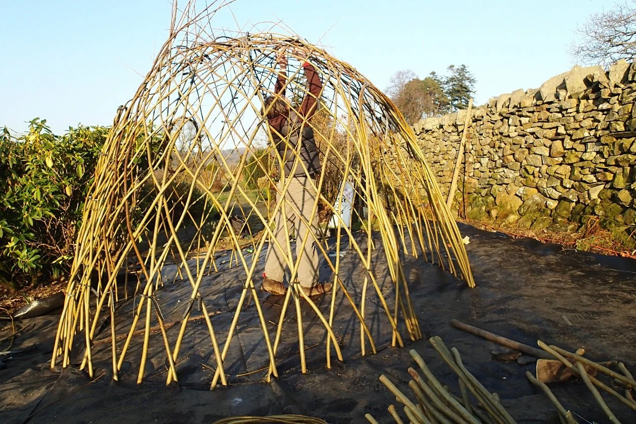 Person constructing a willow dome structure outdoors 