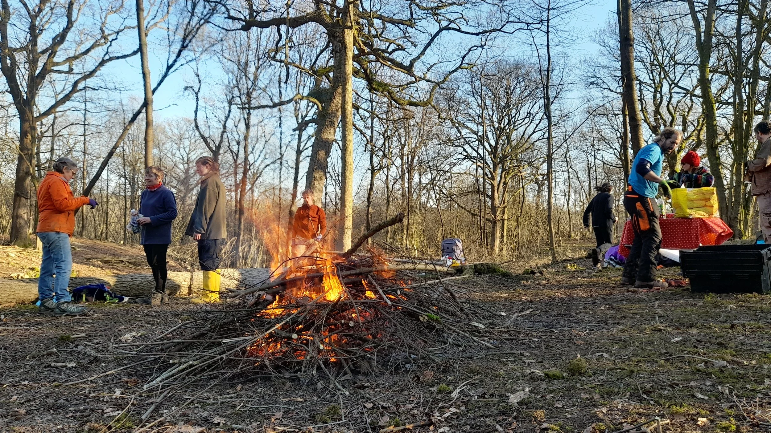 Group of people in a woodland gathering around a campfire during the winter and clear sky in the background.