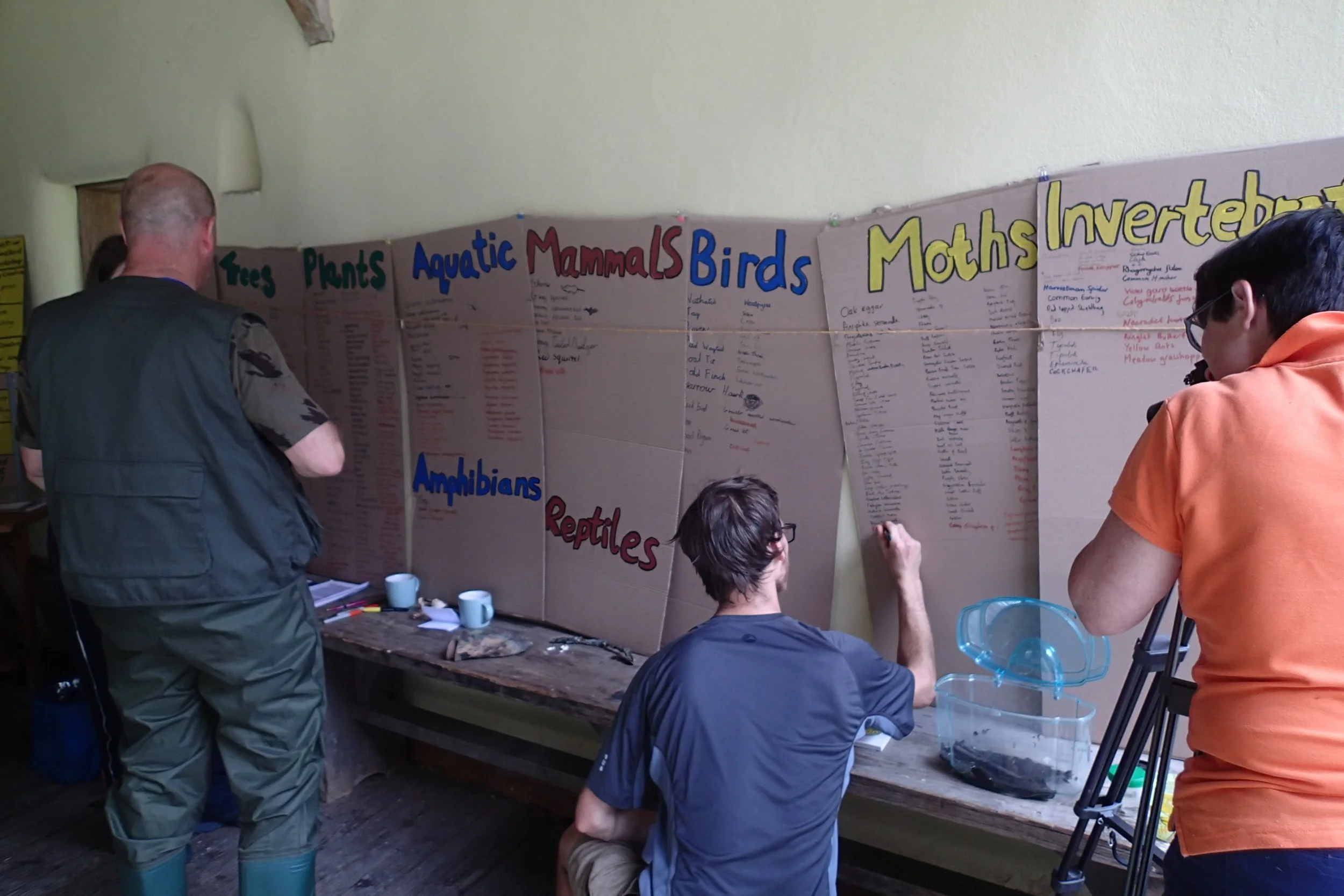 People gathering around a large display board with organized categories of animals and plants, writing and discussing.