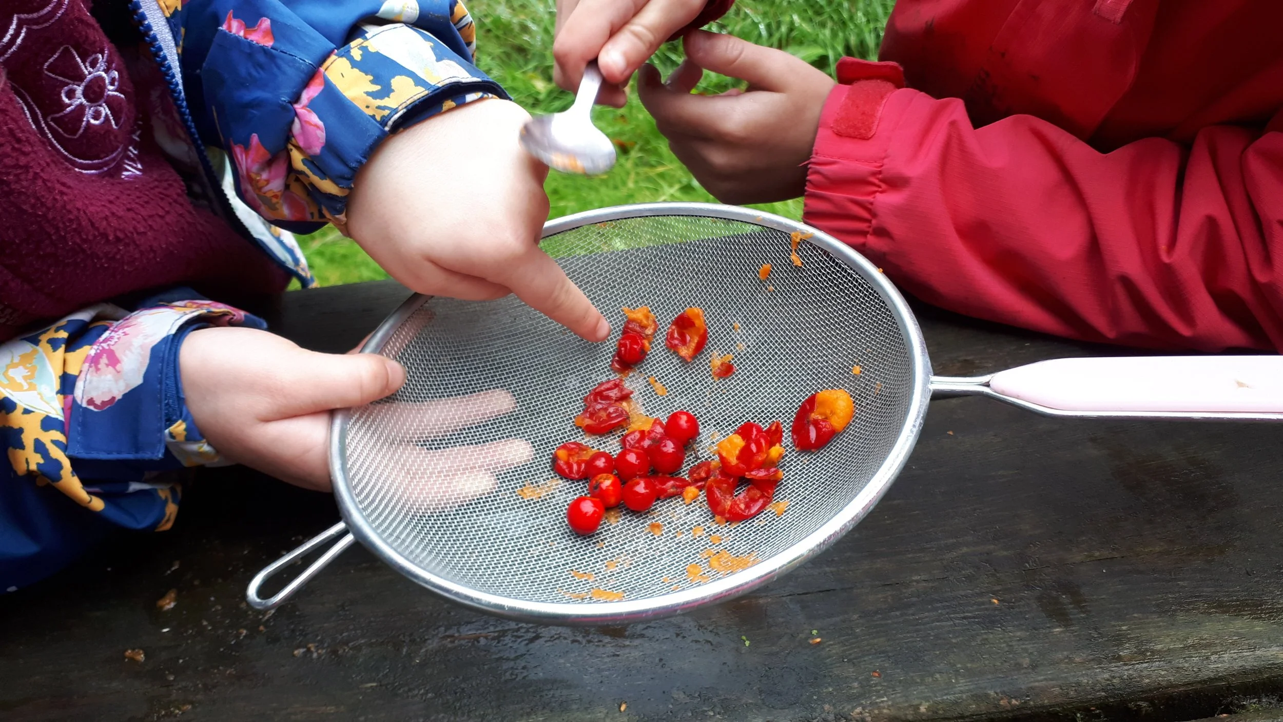 Two children are gathering and examining red and orange berries or small fruits on a metal sieve placed on a wooden surface outdoors.
