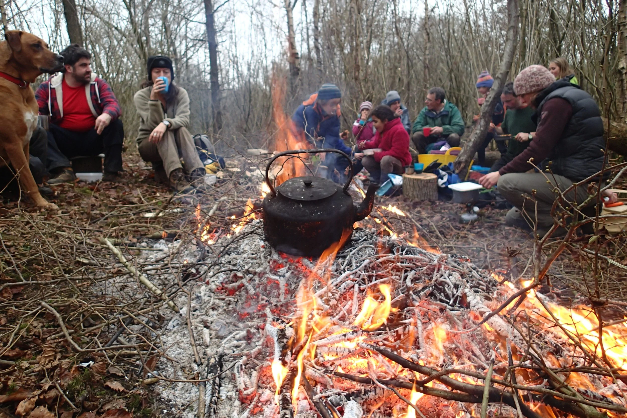 A group of people sitting around a campfire in a wooded area, enjoying drinks and snacks on a conservation day