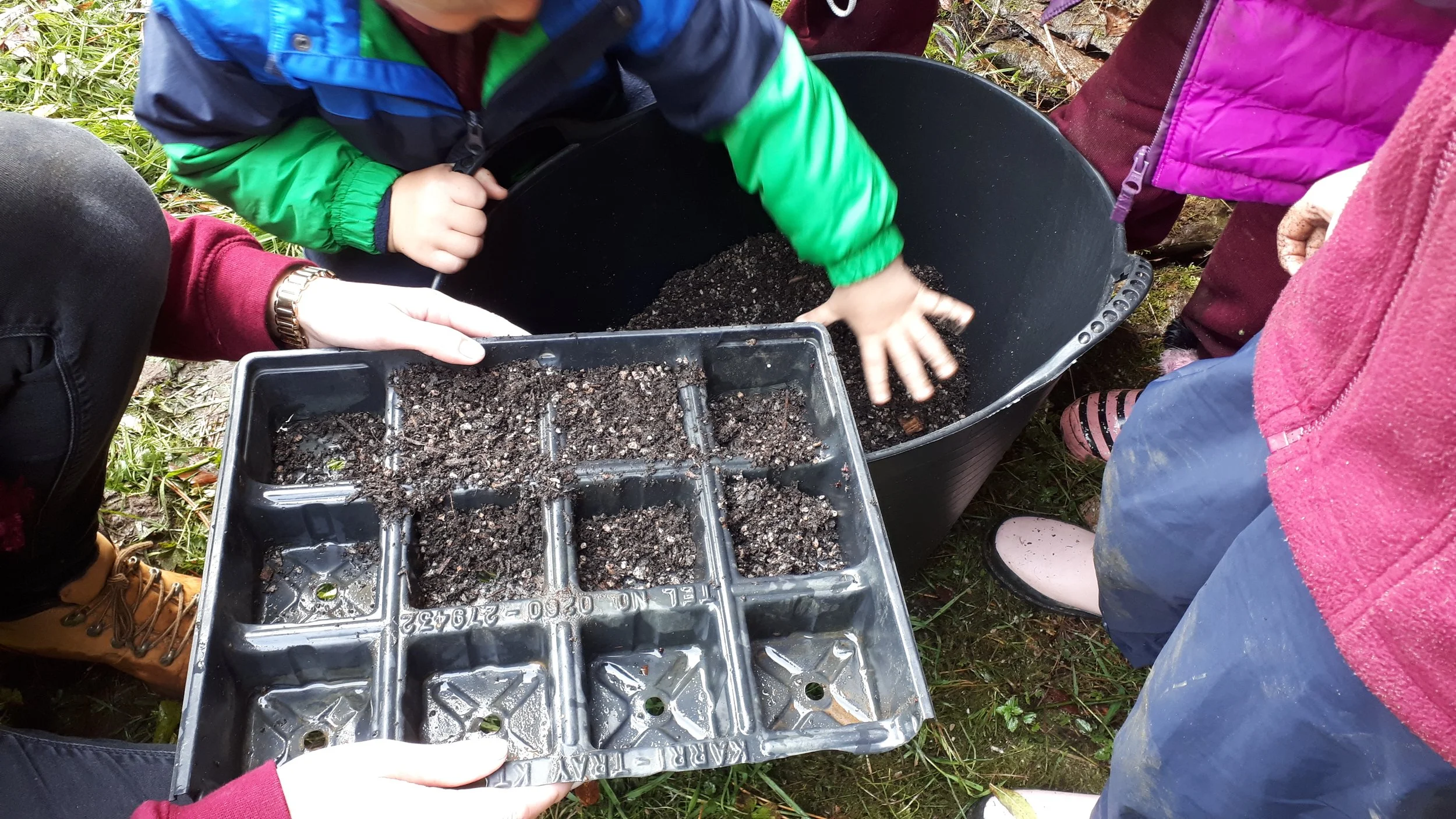 Children and adults planting seeds or seedlings in black soil in a large black pot and seed trays outdoors.