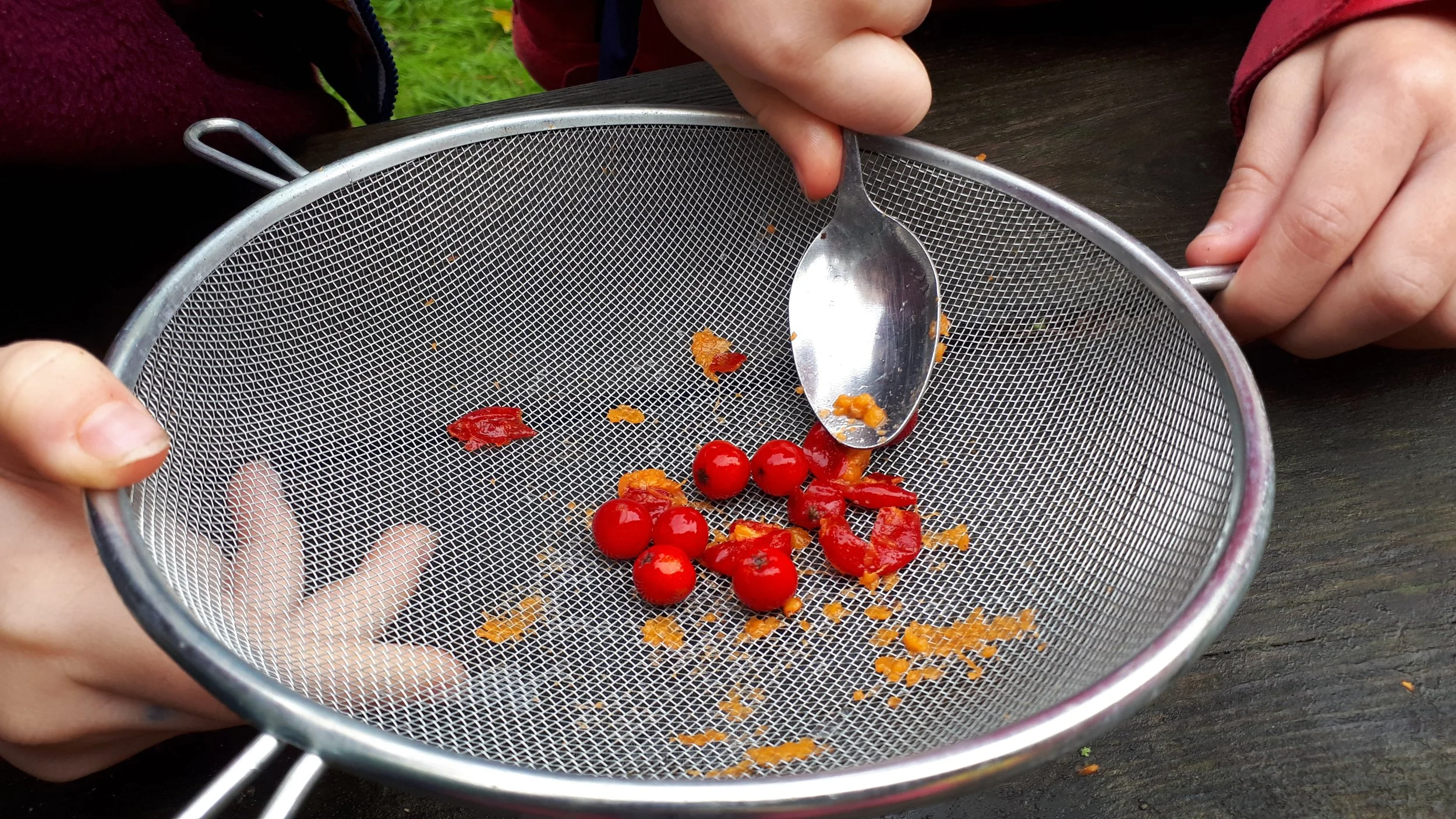 Person holding a sieve with red berries and orange pieces on a dark wooden table.