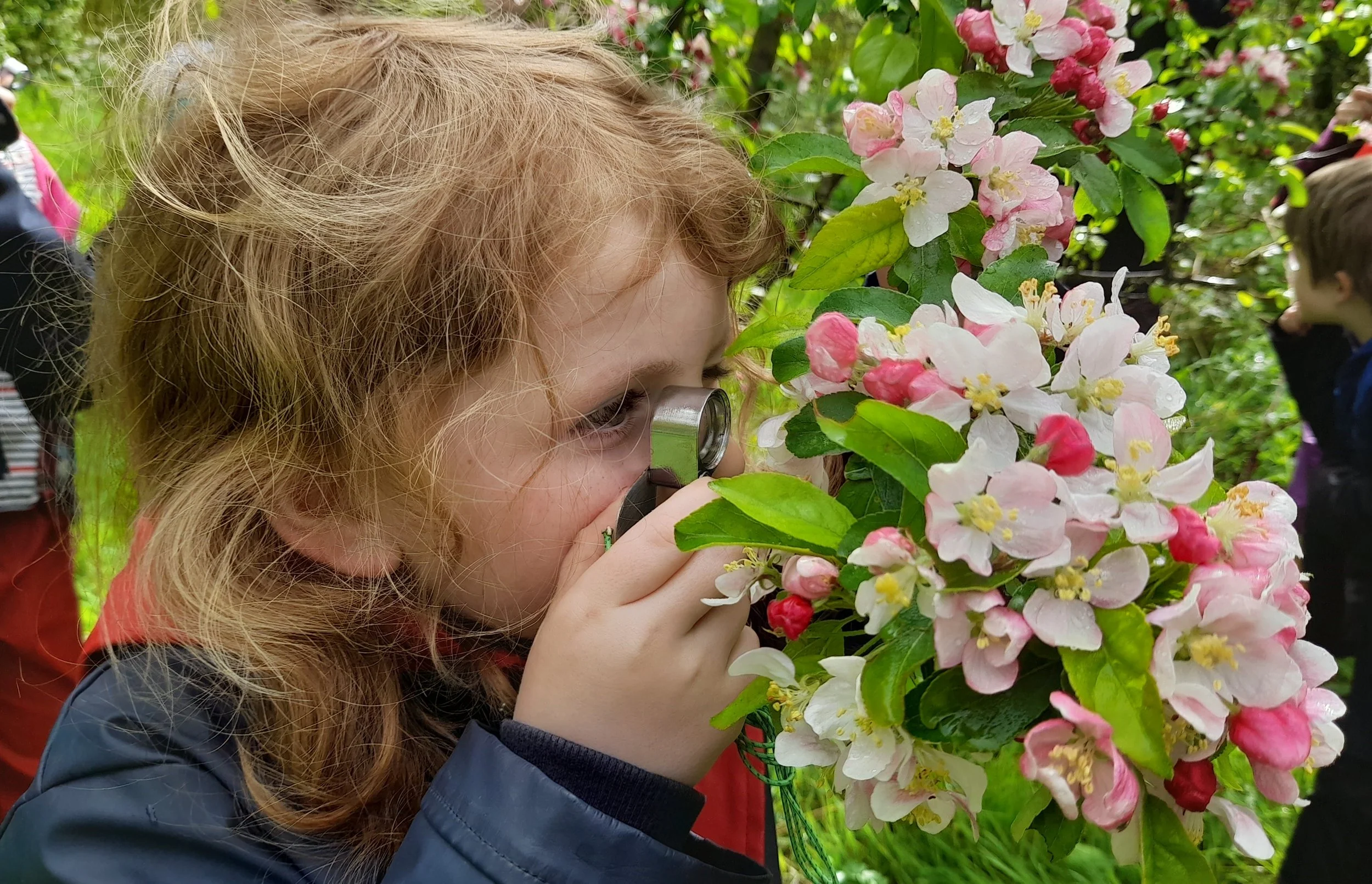 A young girl with red hair looks through a magnifying glass at pink and white flowers on a bush in a garden or park surrounded by green leaves, with other children in the background.