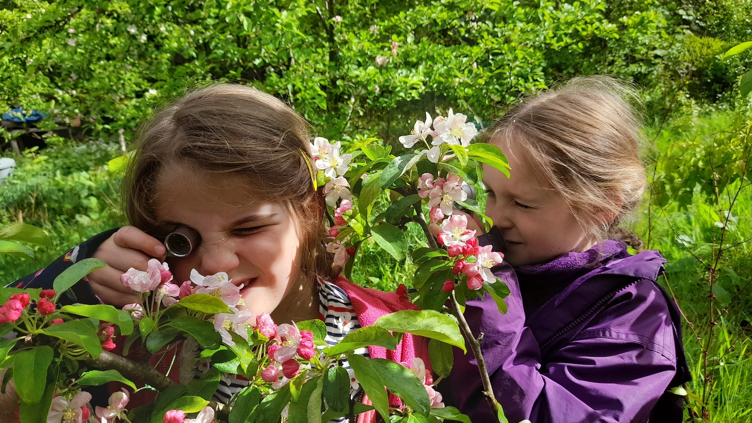 Two young girls in a garden smelling a flowering branch of pink and white blossoms.
