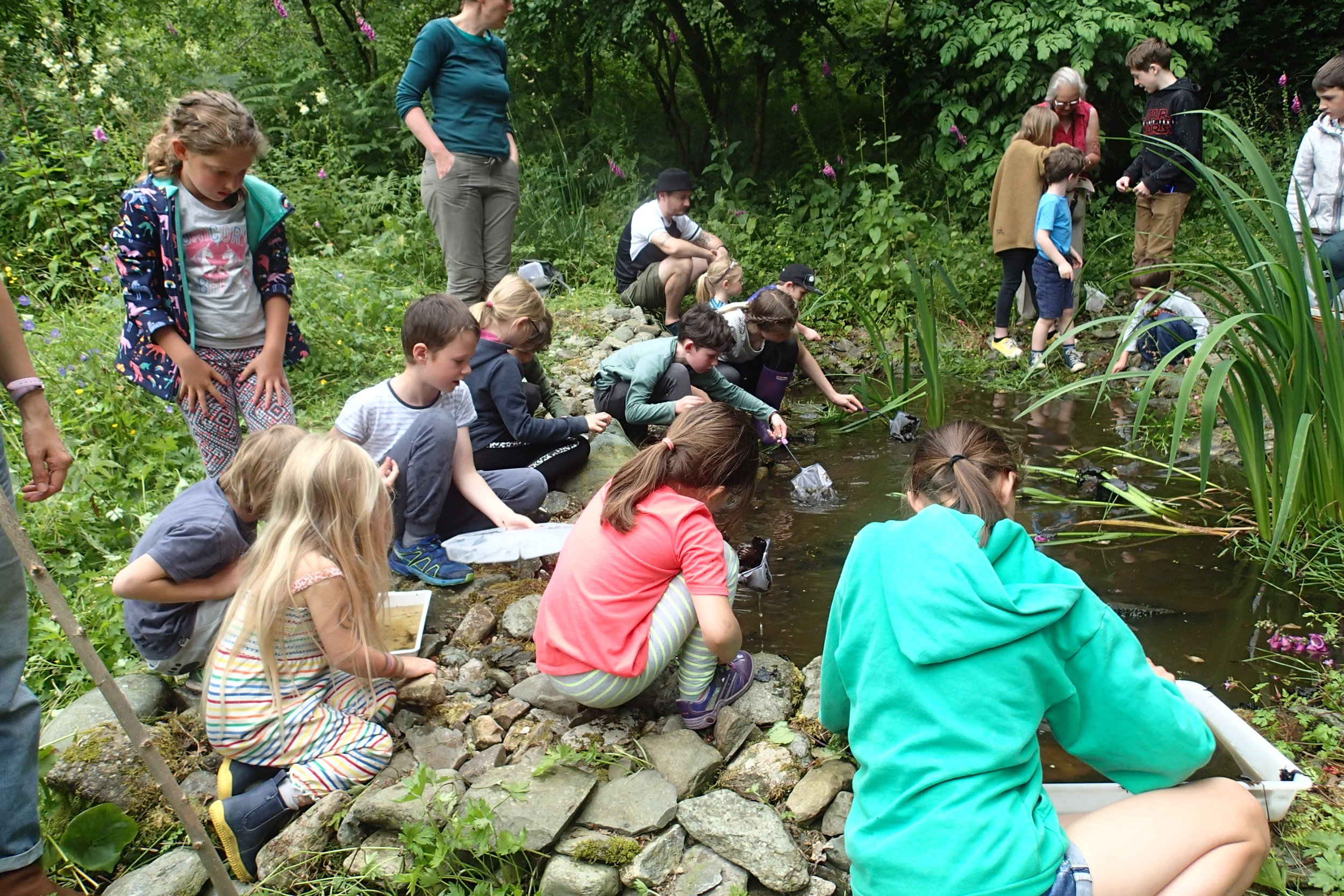 Children and adults examining a creek in a lush, green outdoor setting, some using magnifying glasses and containers to collect water samples.