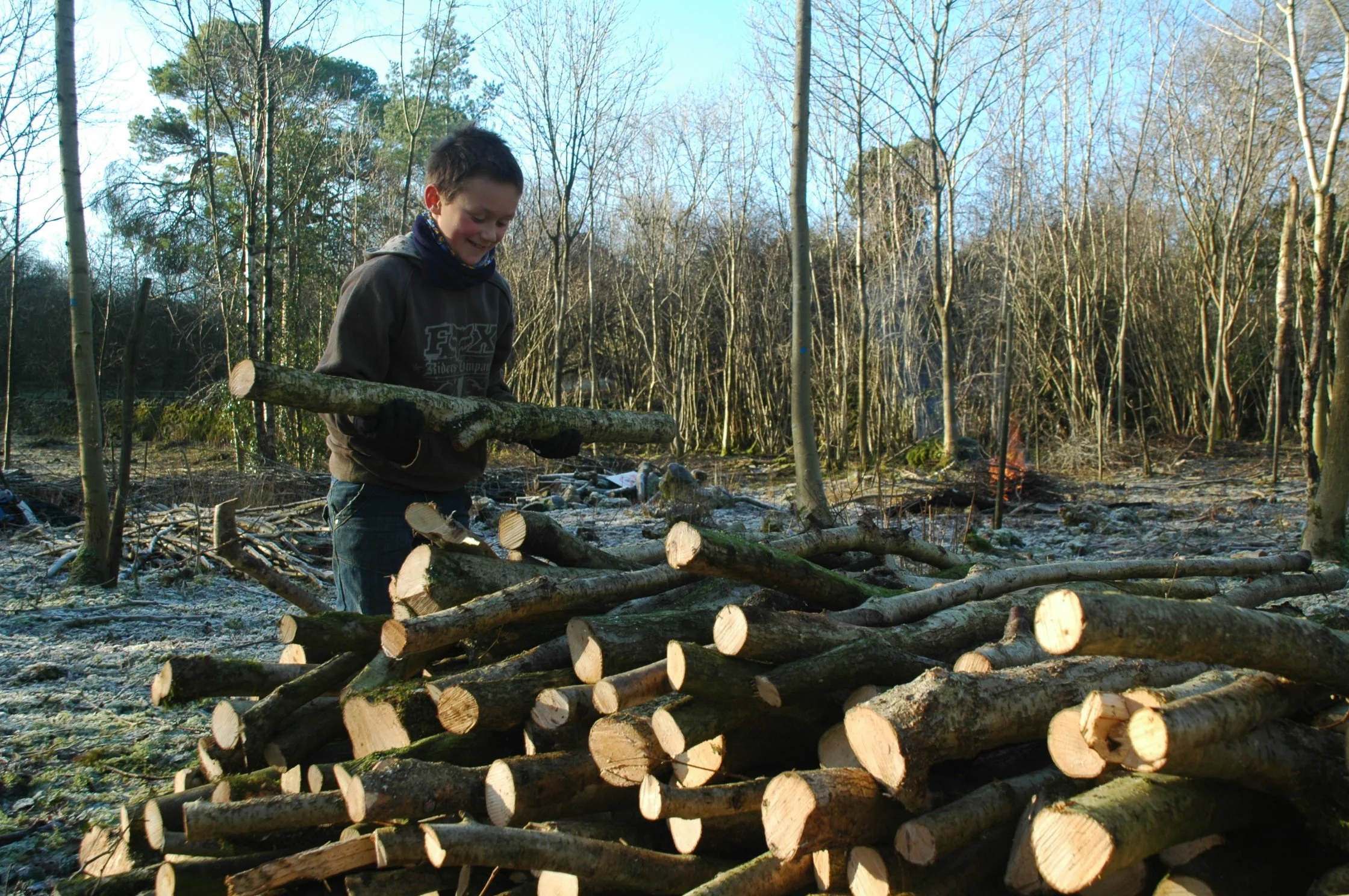 A young boy stacking chopped firewood in a wooded outdoor area during daytime, with a small fire burning in the background.