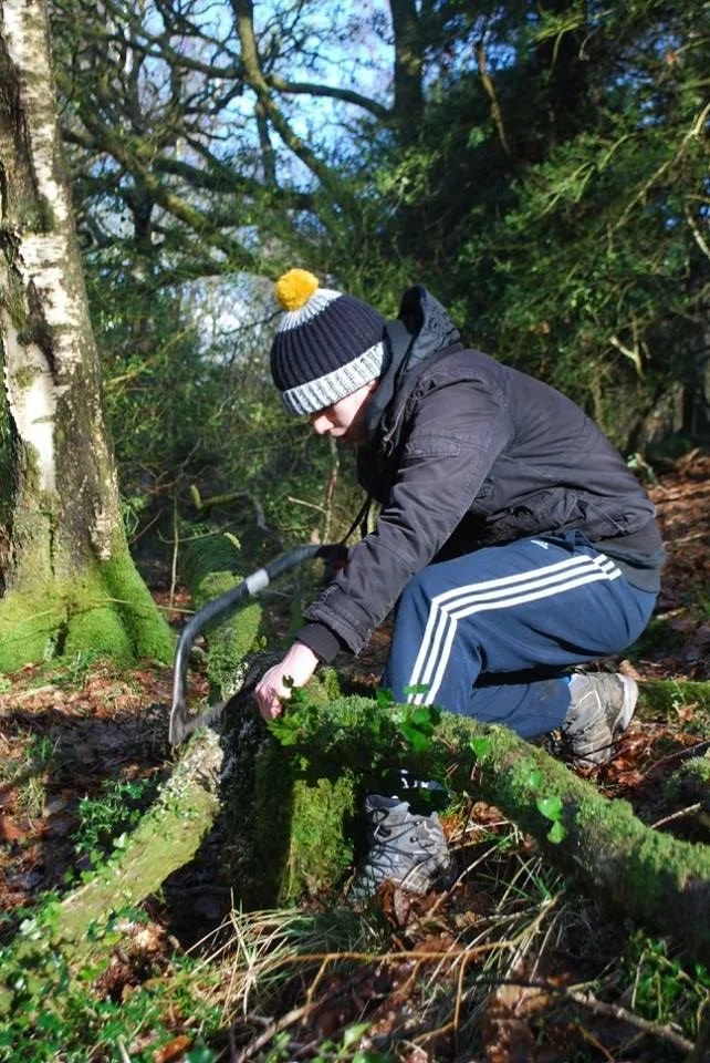 Person wearing a winter hat and black jacket using a saw to cut a fallen moss-covered tree in a forest.