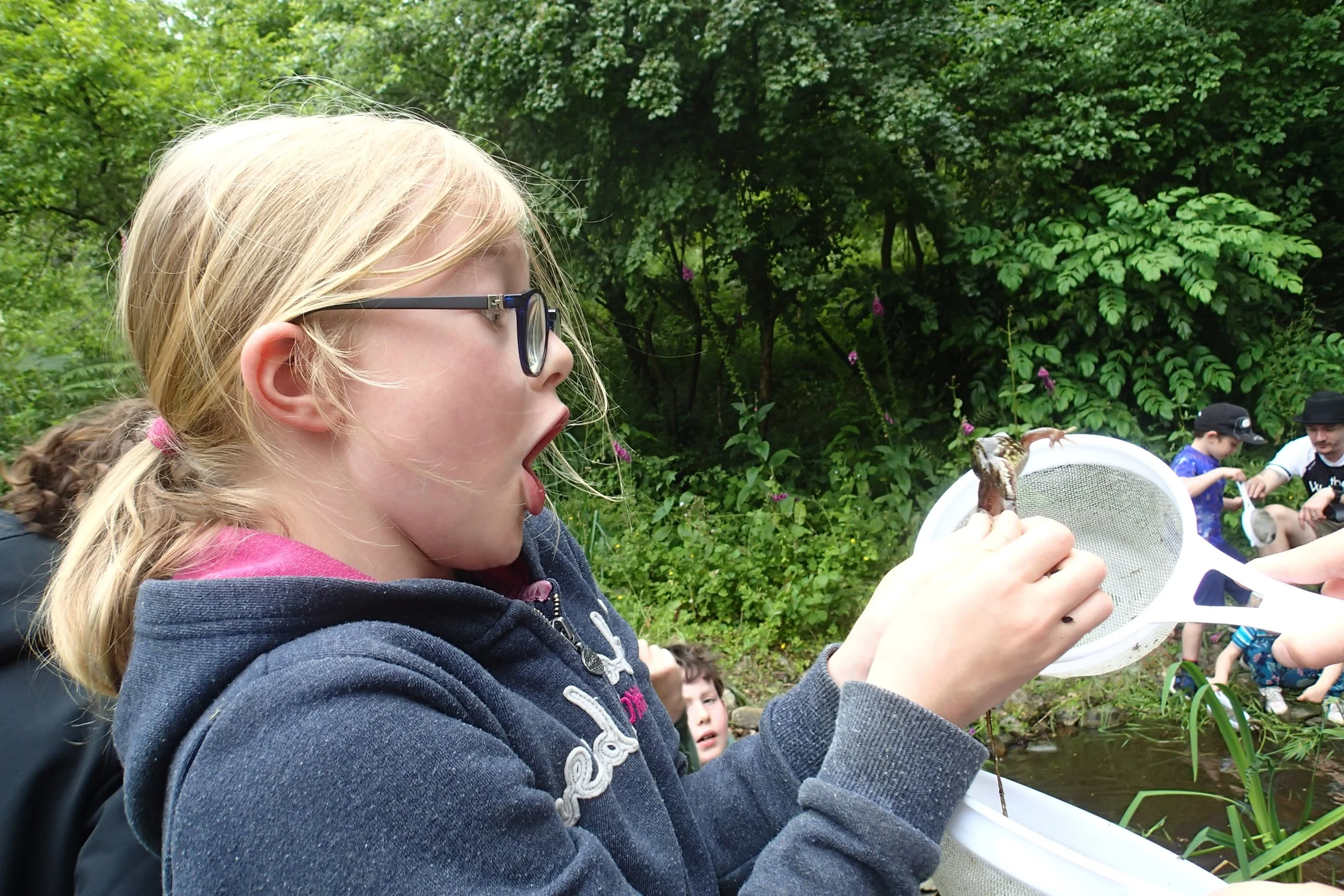 A young girl with glasses surprised at what she has found while using a net in the pond, with other children and a forest background.