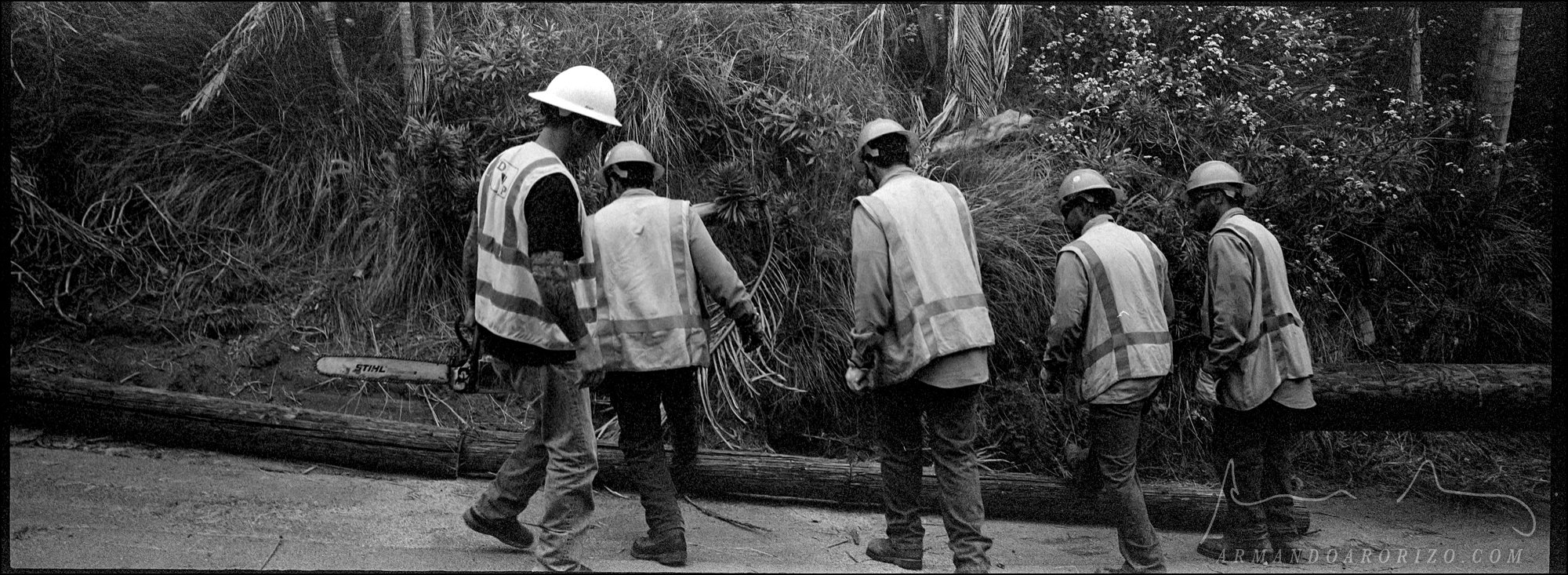 011_1604_26_XPAN_IBEW_Local_18_010_wm_.jpg