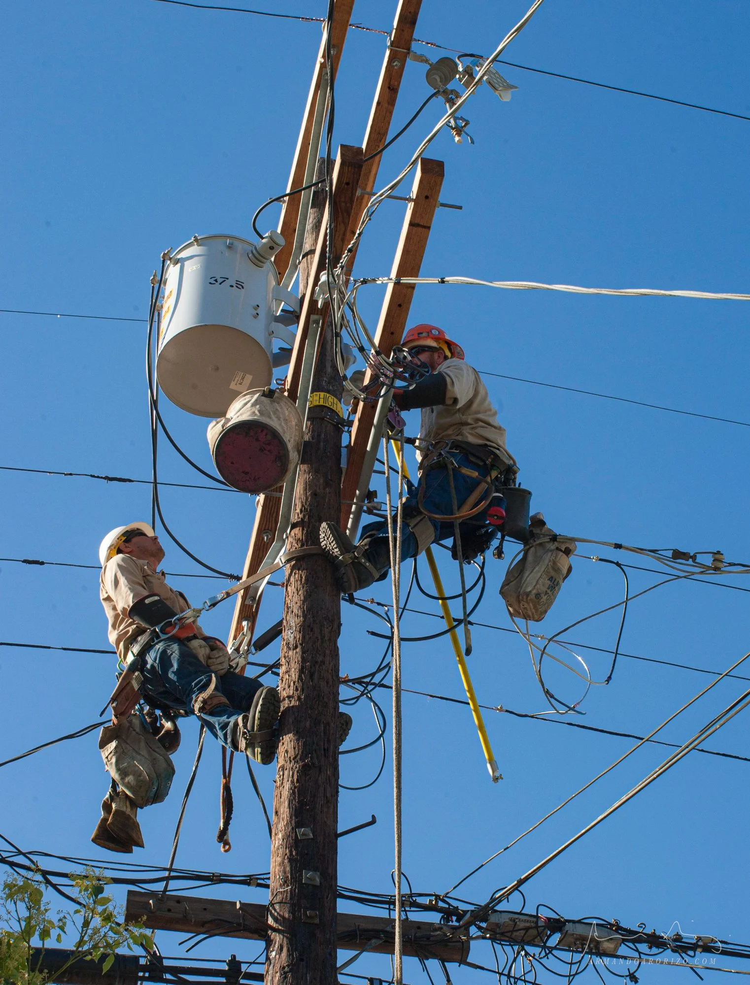 1603_25 LOCAL18239 2.jpg