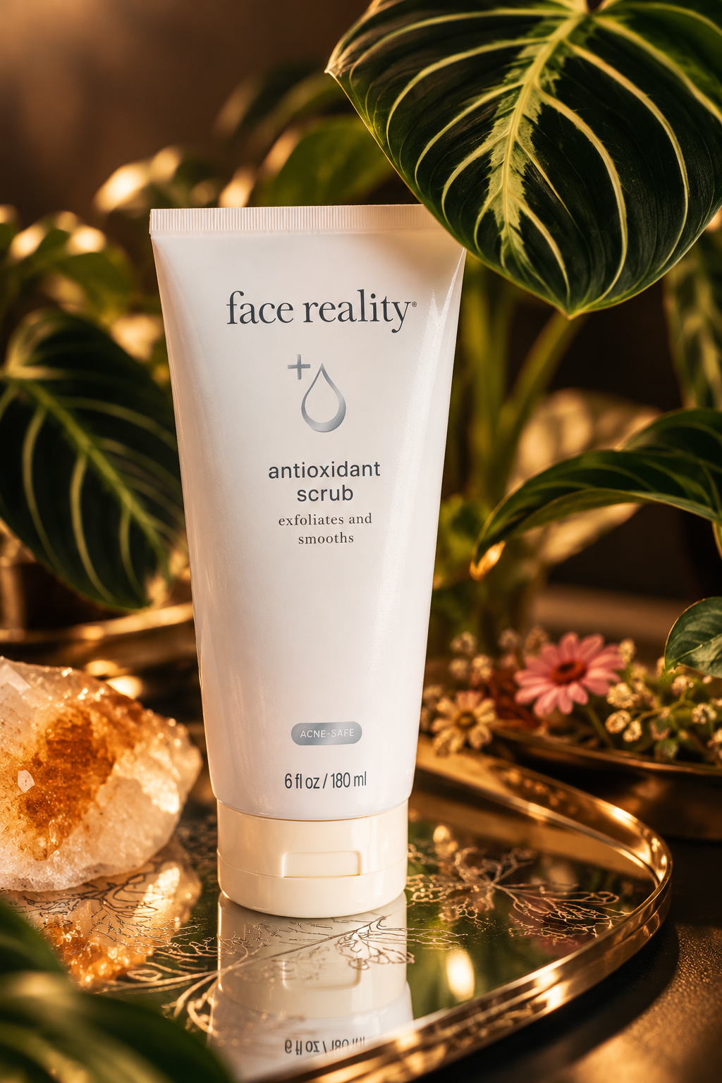 Face Reality Antioxidant Scrub 6 oz skincare tube