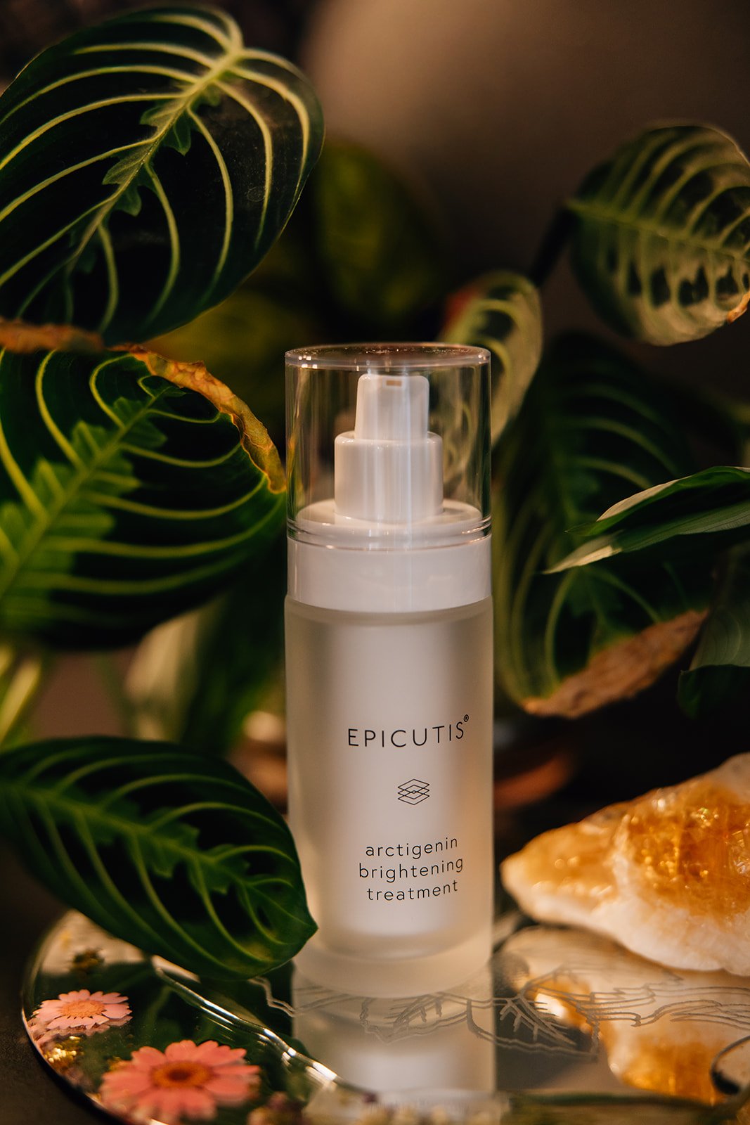 Epicutis Arctigenin Brightening Treatment 30 mL skincare bottle