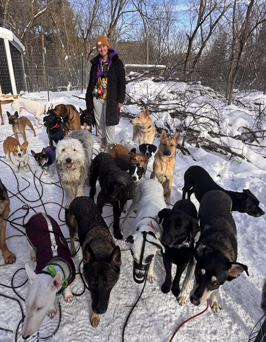 A woman with a group of dogs in a snowy outdoor setting, some on leashes and some free, with snow-covered trees and bushes in the background.