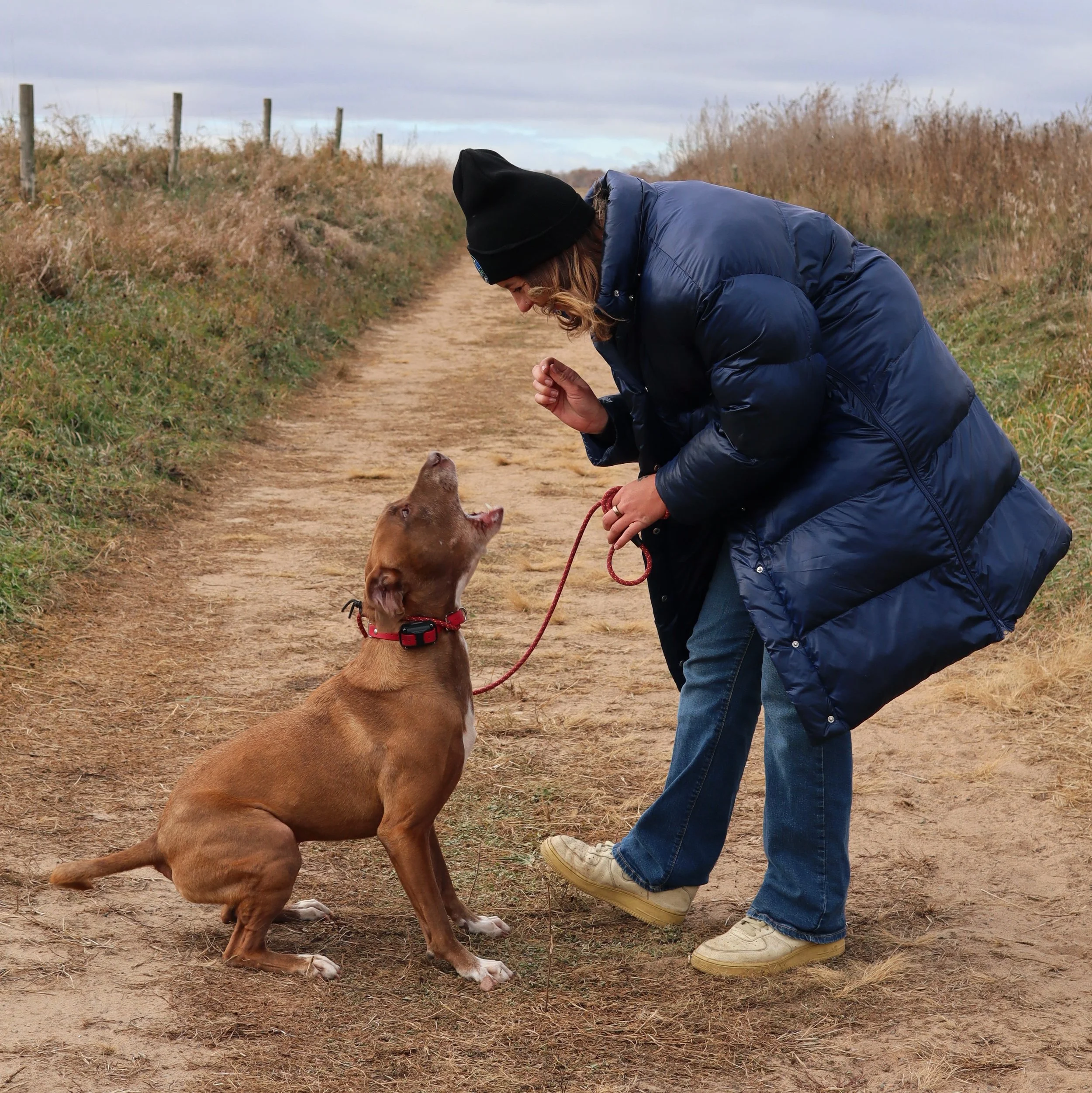 A woman in a dark blue coat and black beanie bending down on a dirt path, holding a red leash attached to a brown dog with a red collar. The dog is sitting and looking up at her, seemingly excited or eager for a treat or command. The background features grassy hills and a cloudy sky.