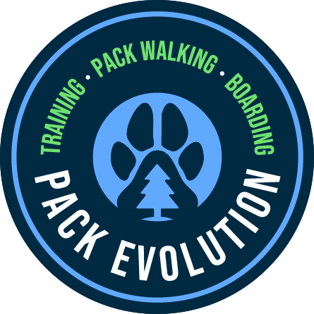 Circular badge featuring a pine tree, paw print, and pine tree icon in blue, with text around the circle reading 'Training', 'Pack Walking', 'Boarding', and 'Paw Evolution'.
