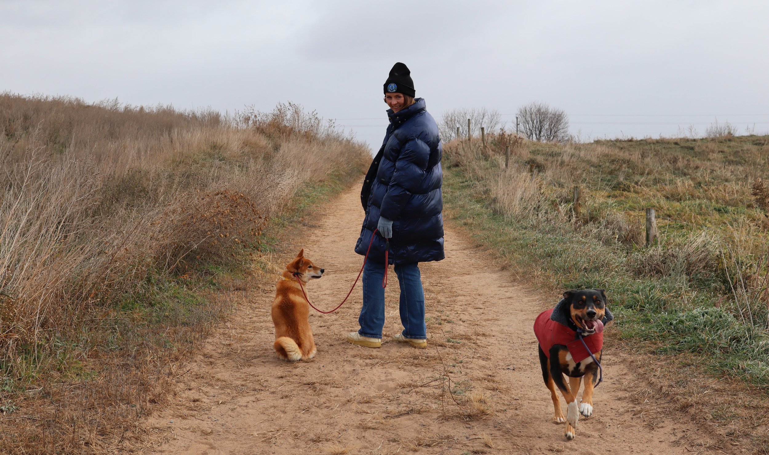 A person walking two dogs on a dirt trail in a grassy, hilly landscape on a cloudy day.