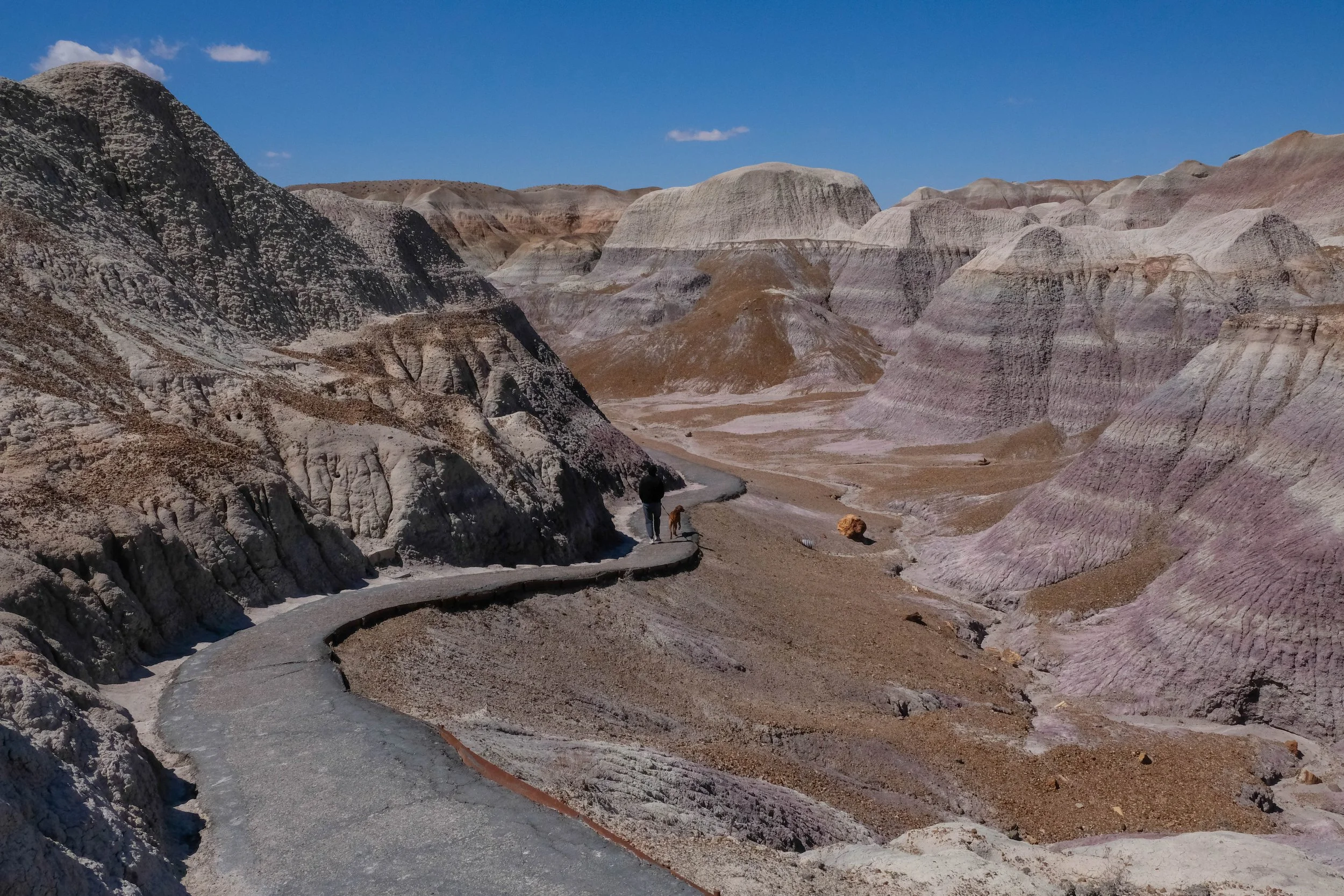 Petrified Forest