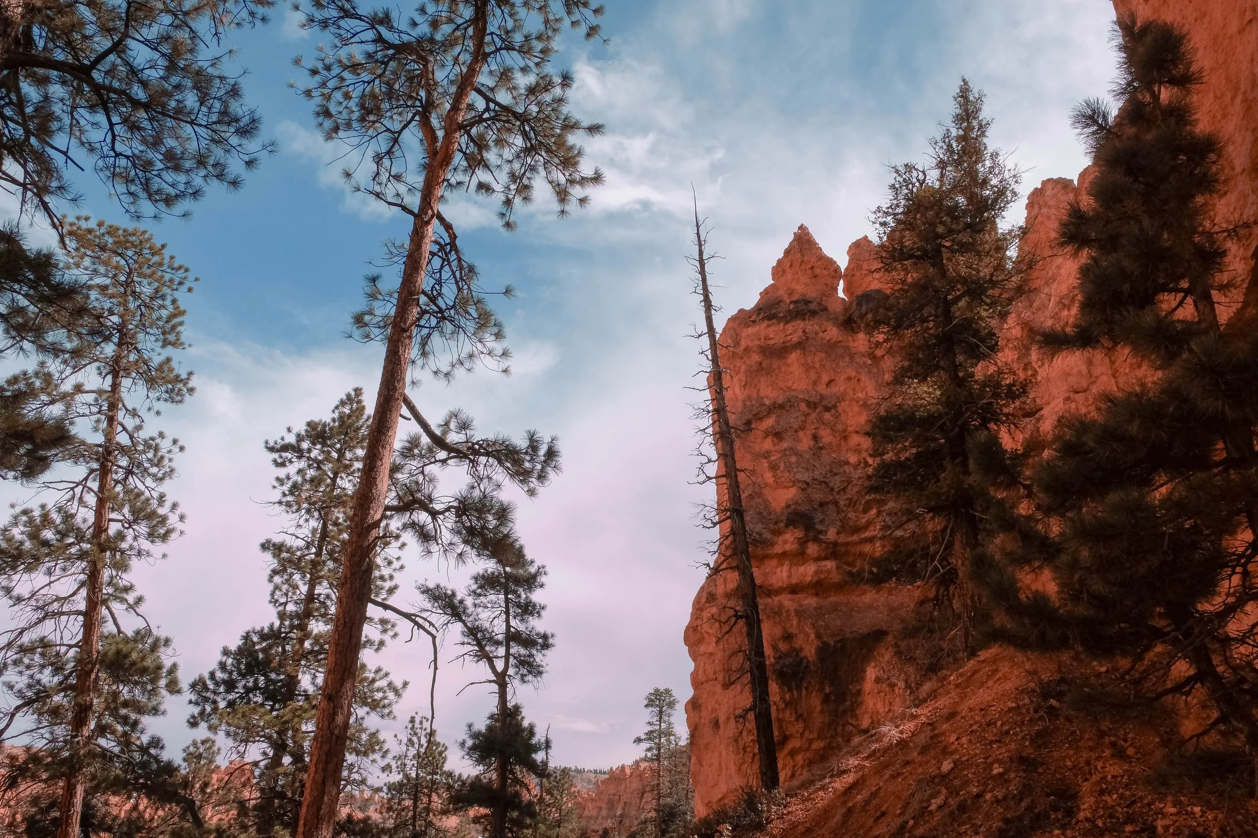 Bryce Canyon
