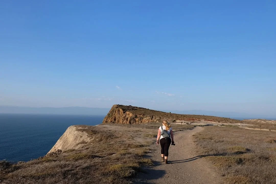 314984932_1311638052979123_7344356762201628025_n (1).jpg