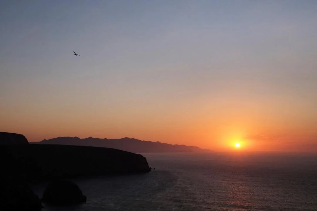 314916804_1402074517287409_3348760036544956080_n (1).jpg