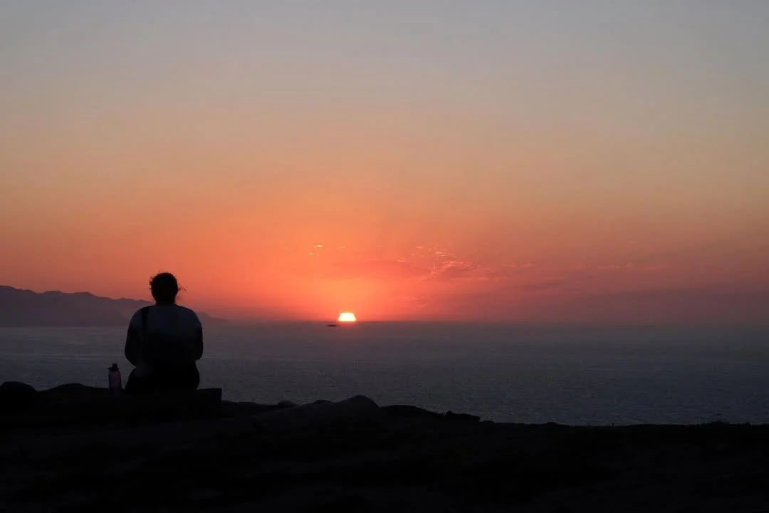 314487811_193267486565682_1761057659825072248_n (1).jpg