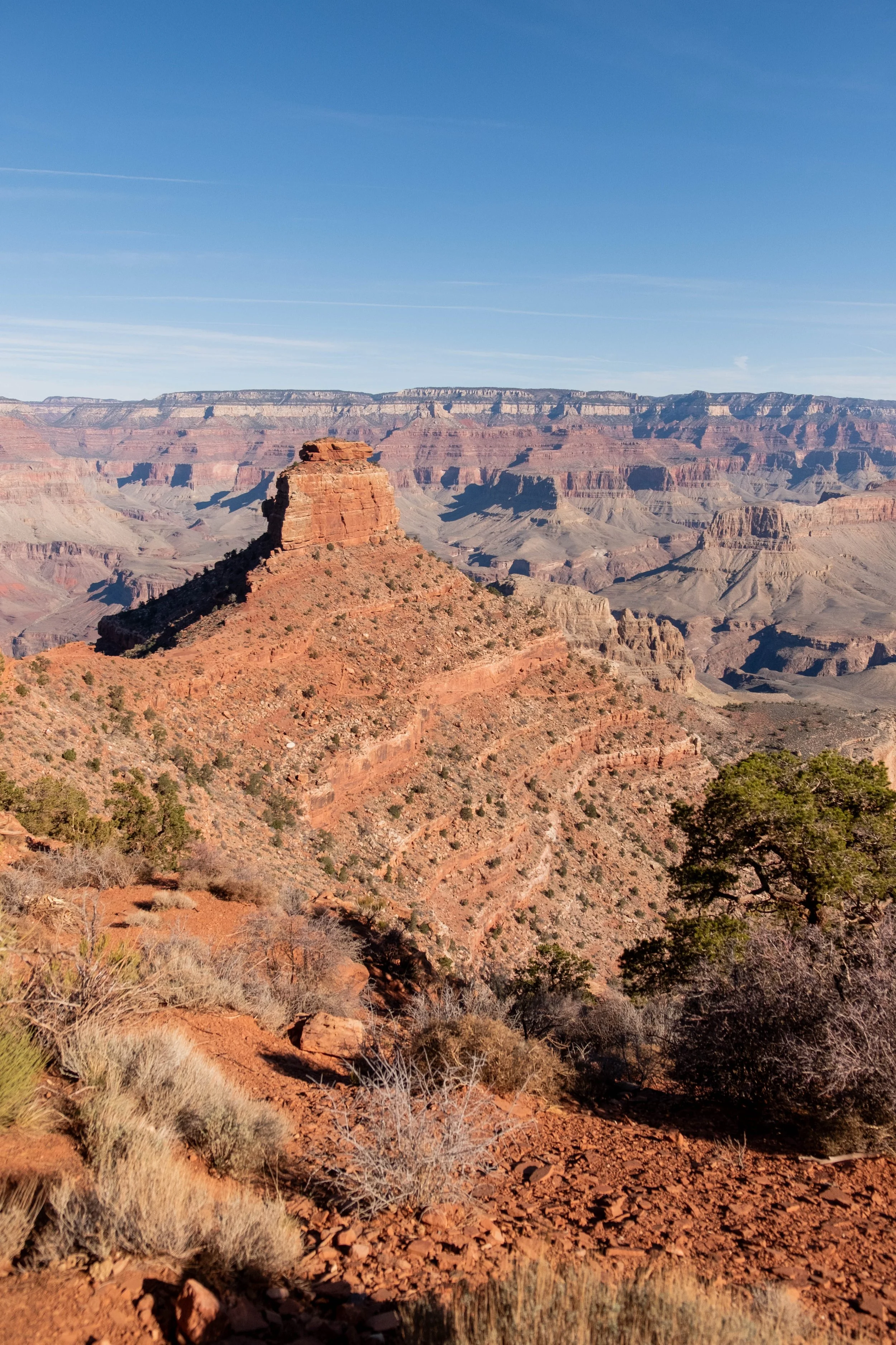 DSCF9198.jpg
