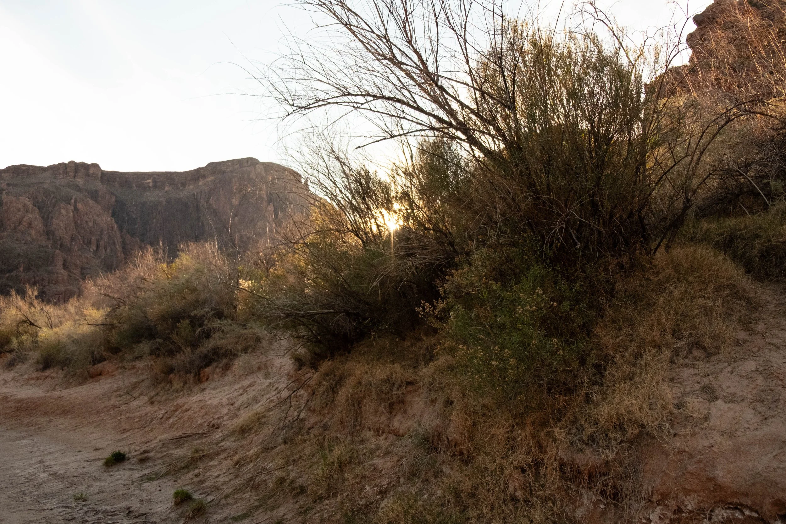 DSCF9416.jpg