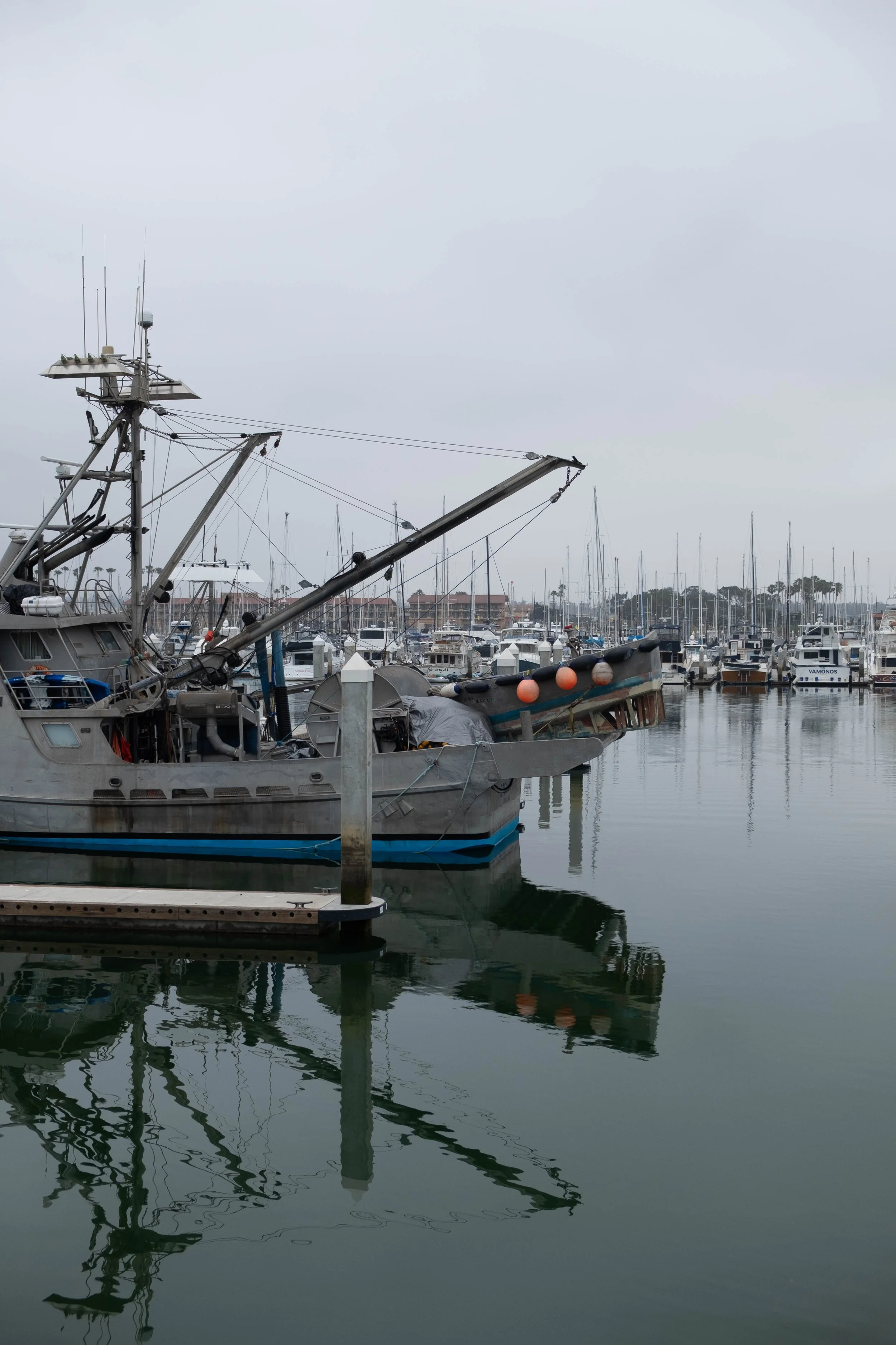 DSCF9484.jpg