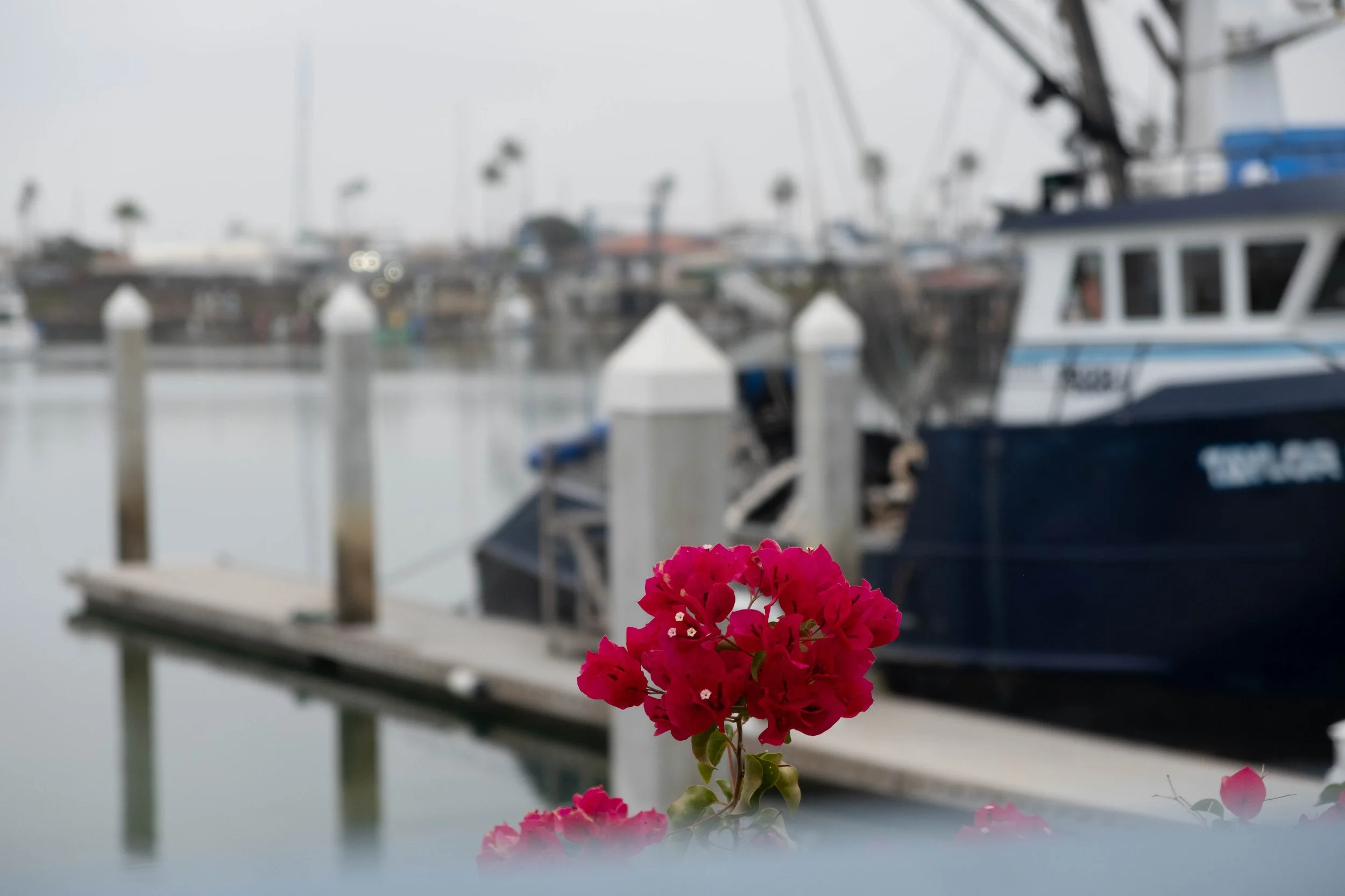 DSCF9485.jpg