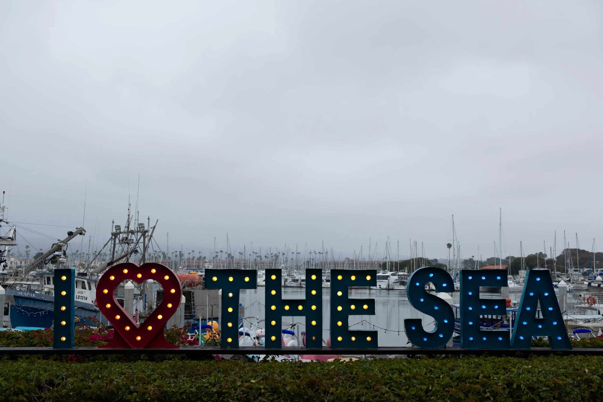 DSCF9490.jpg