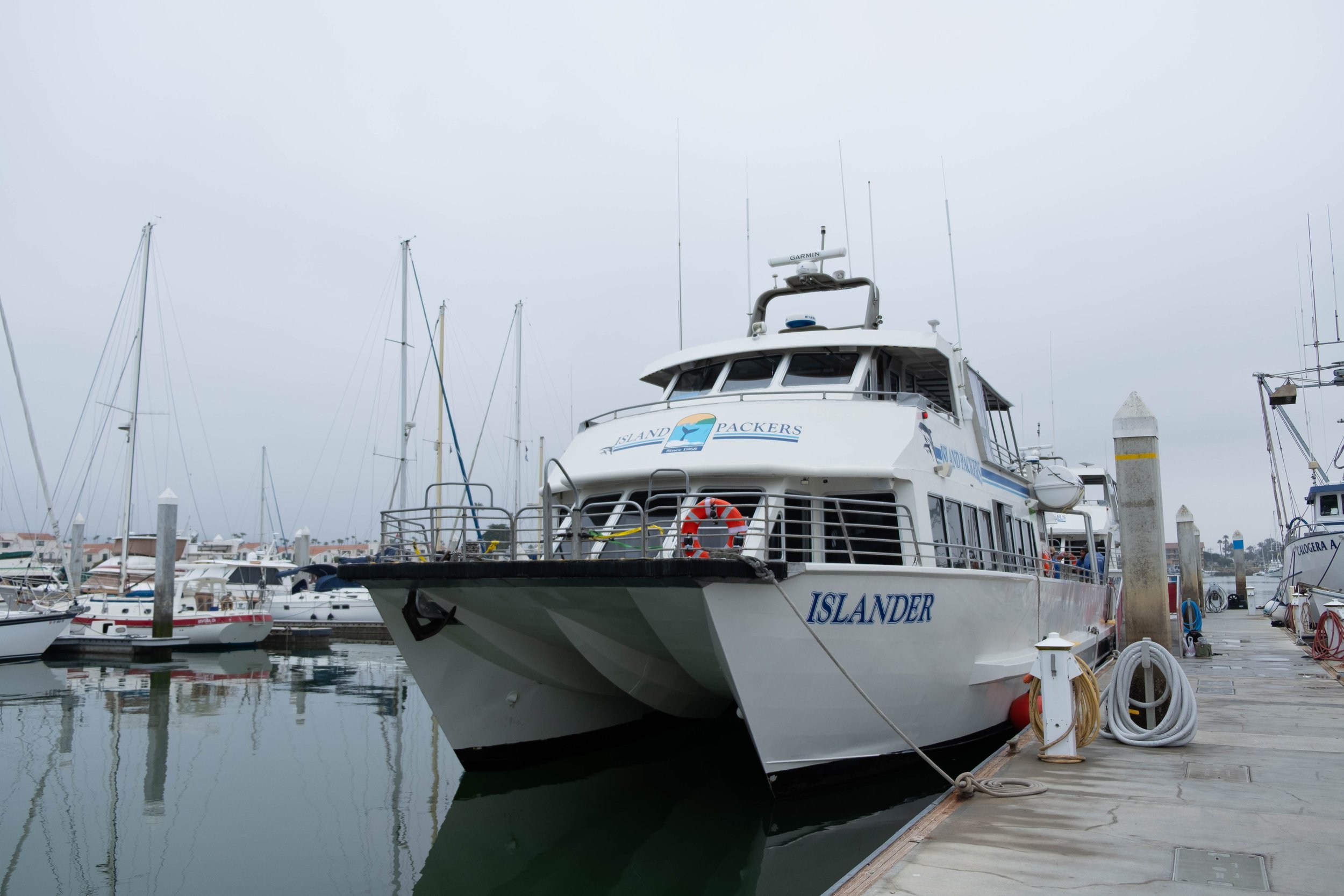 DSCF9495.jpg