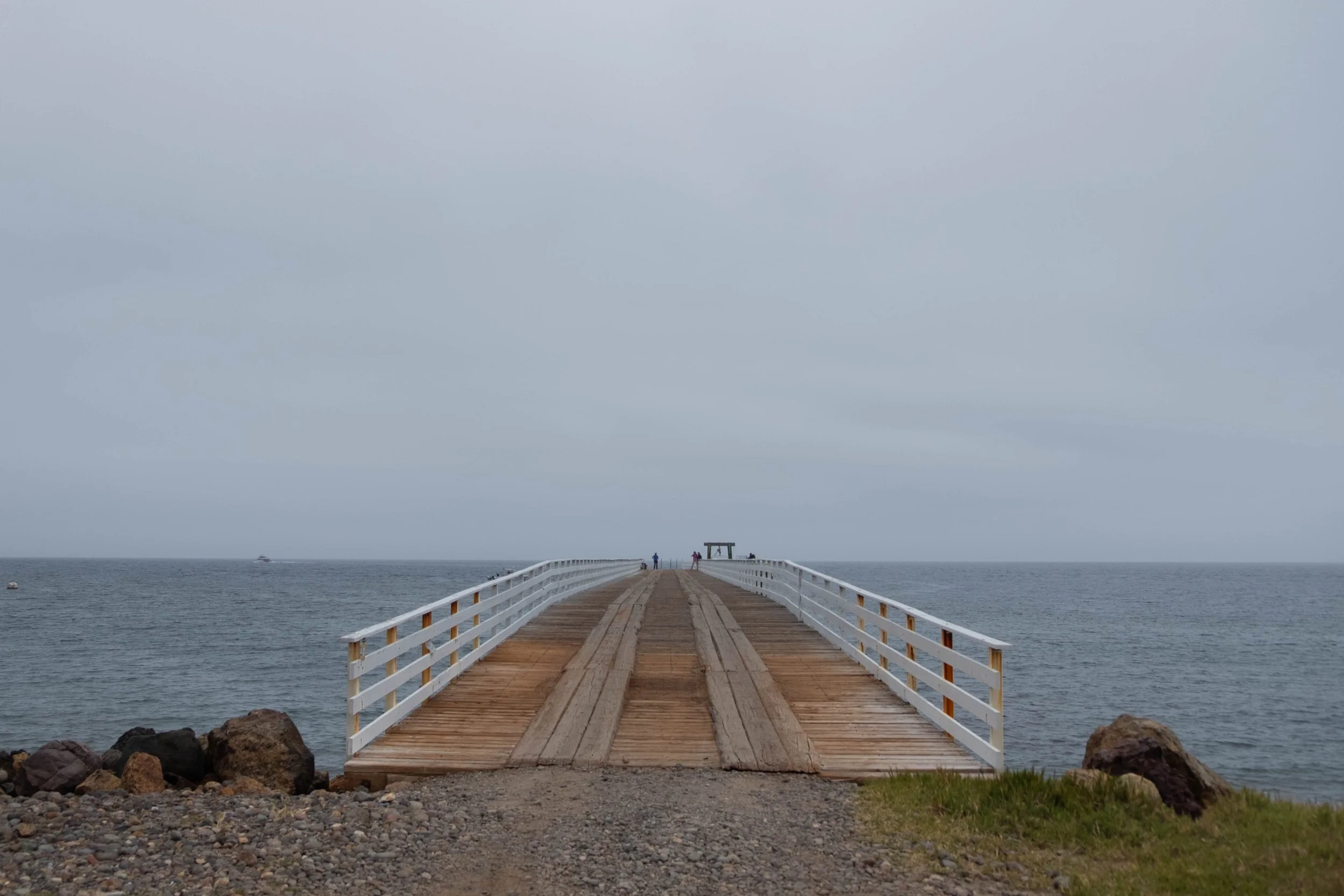 DSCF9535.jpg