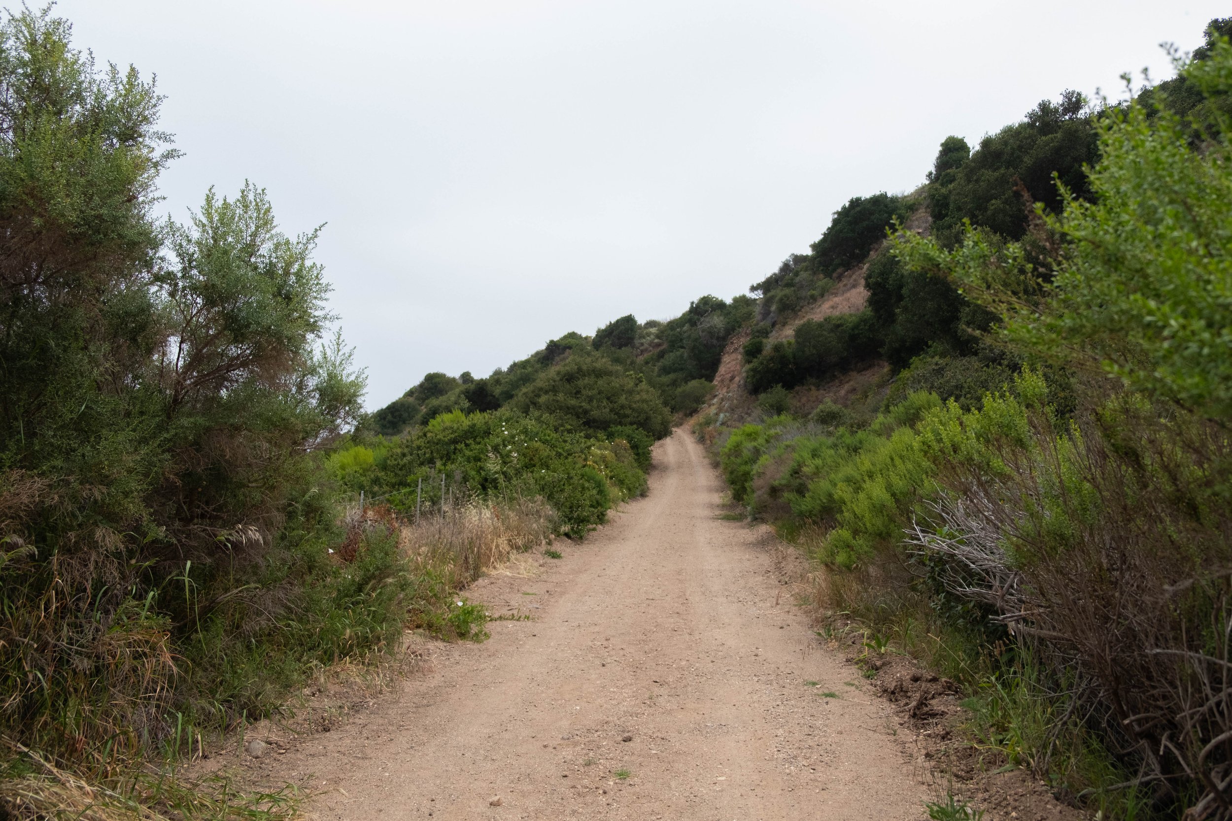 DSCF9540.jpg