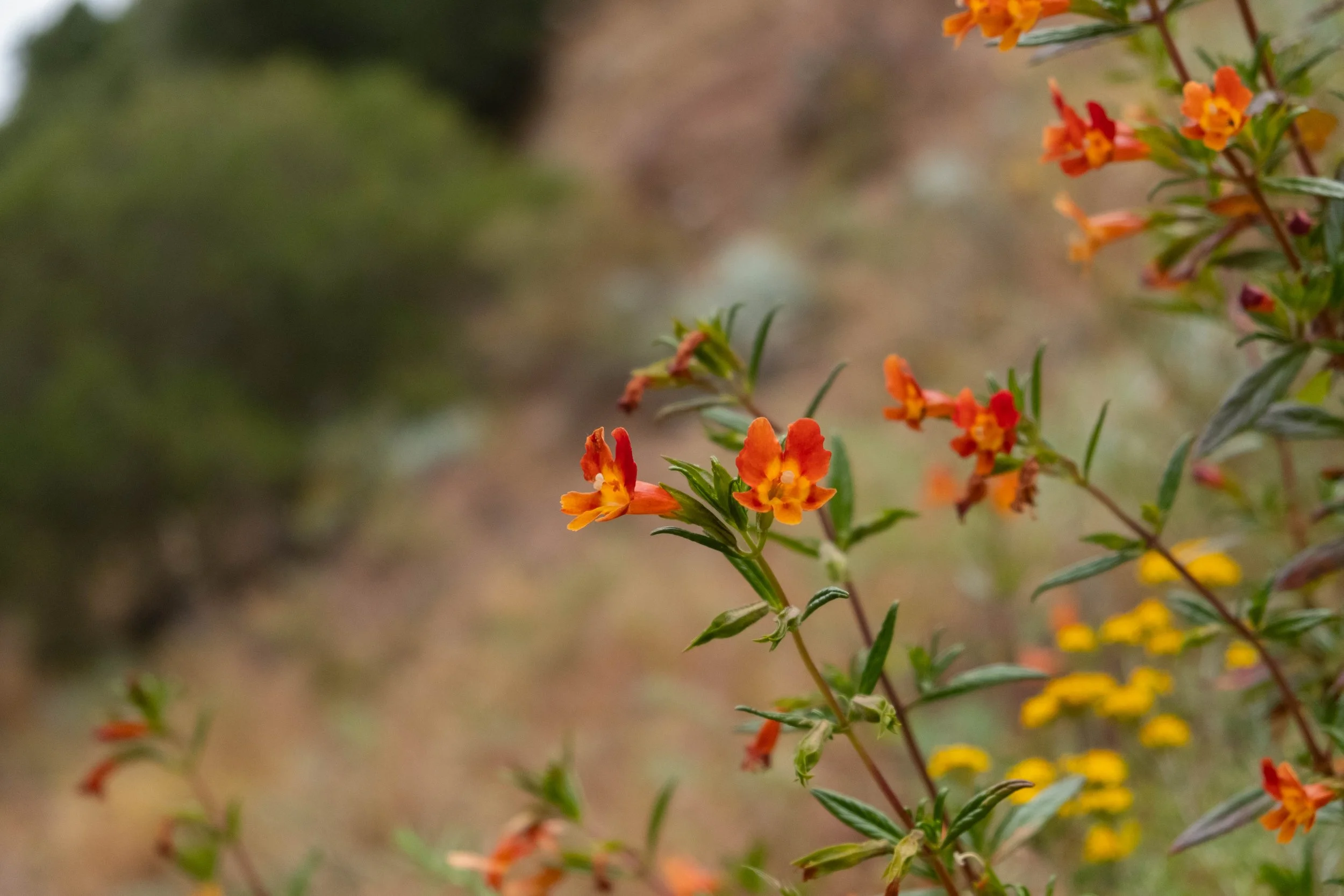 DSCF9542.jpg