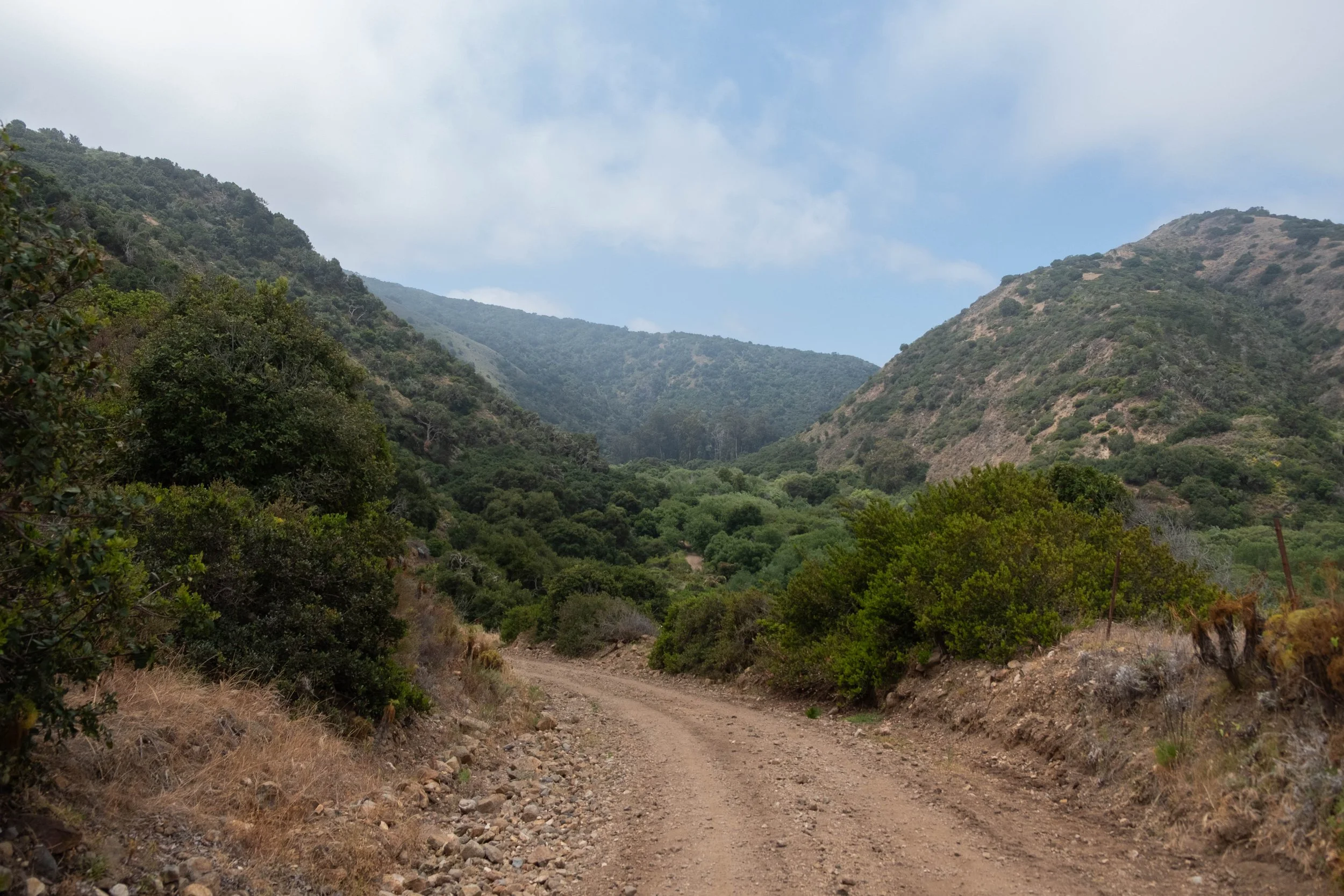 DSCF9545.jpg